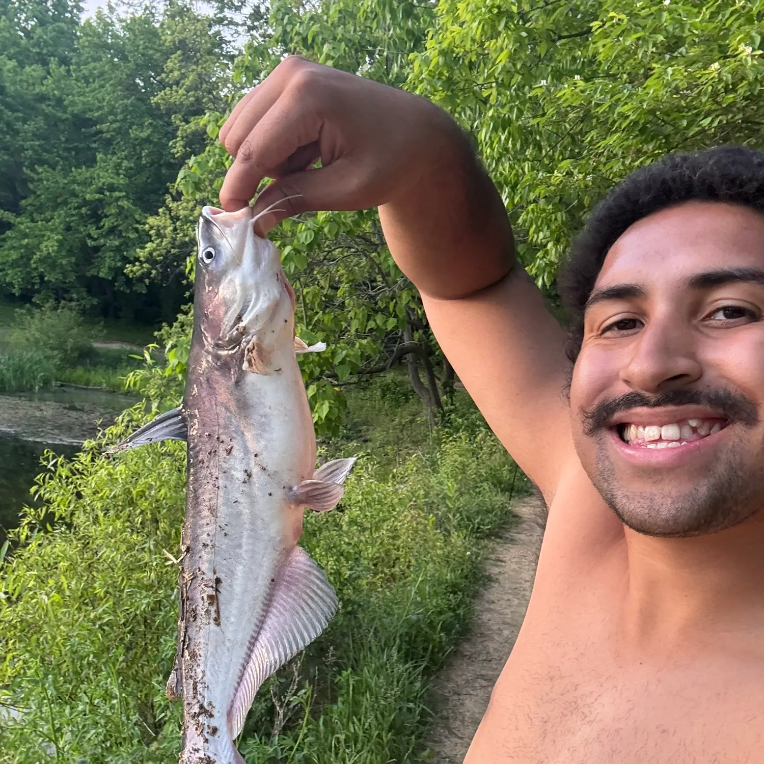 The most recent Blue catfish catches on Fishbrain