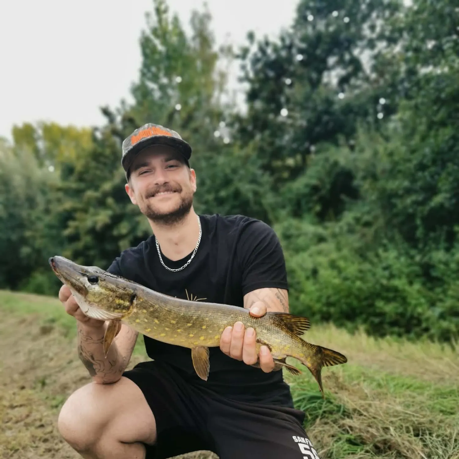 Northern pike caught on Fishbrain
