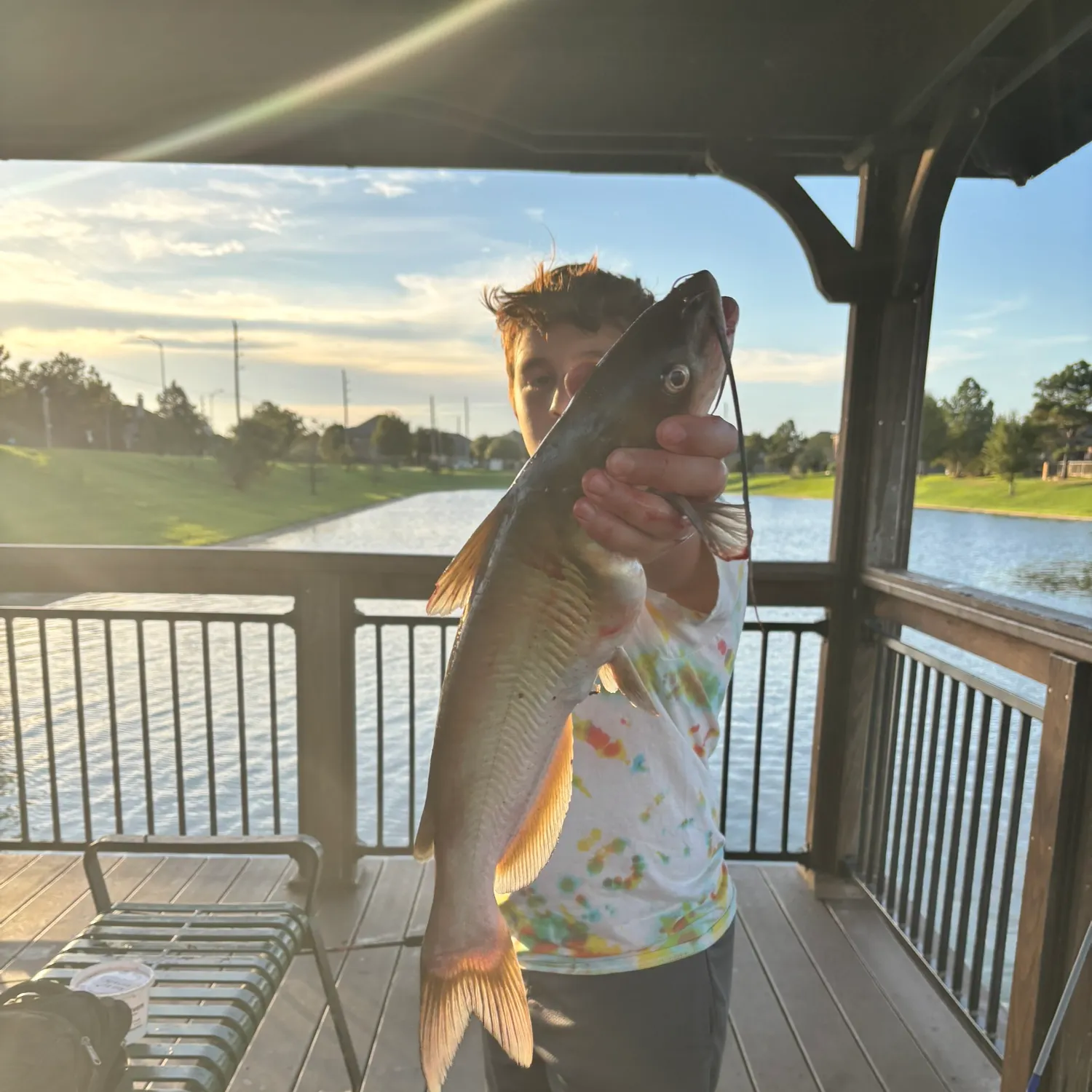 Channel catfish caught on Fishbrain