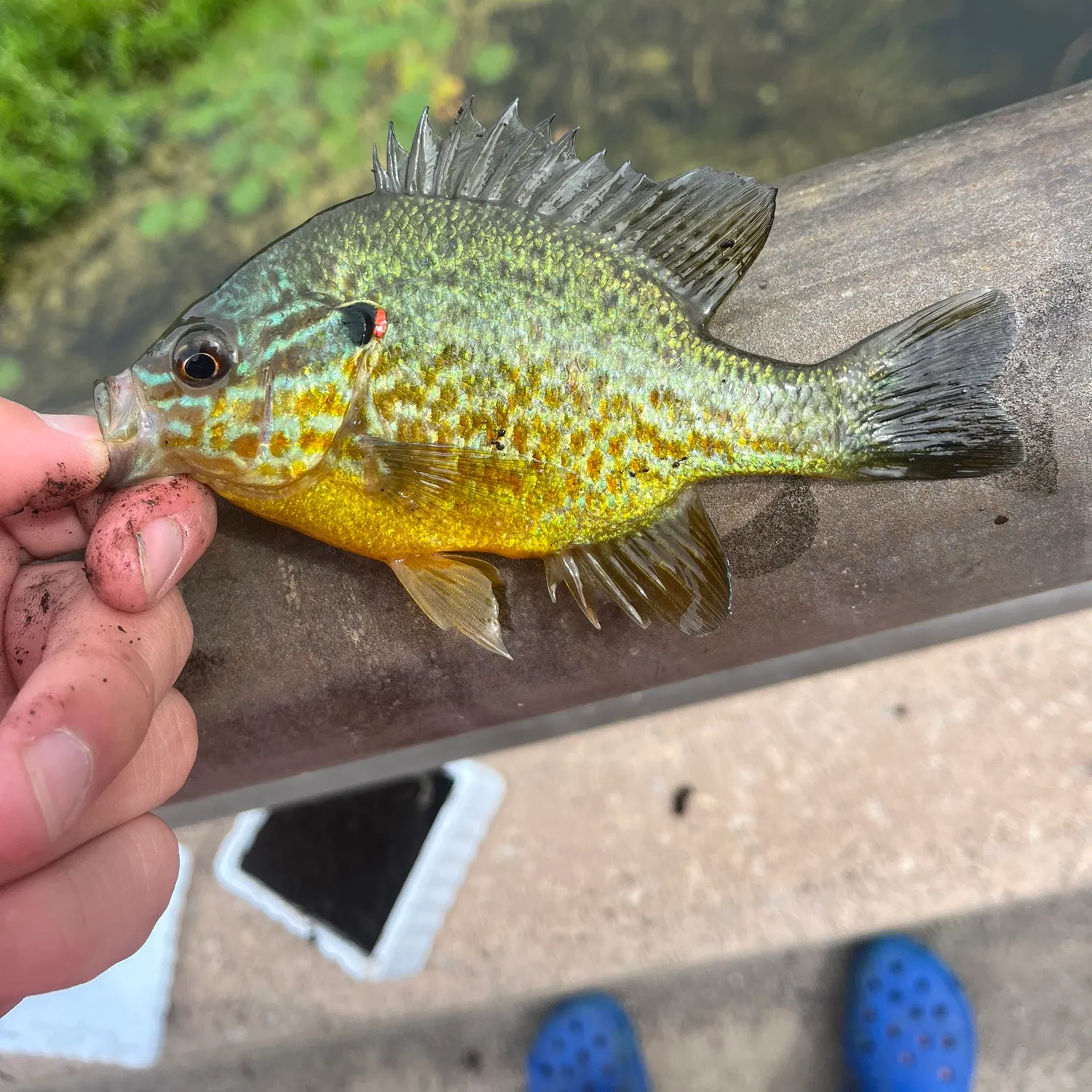 catch