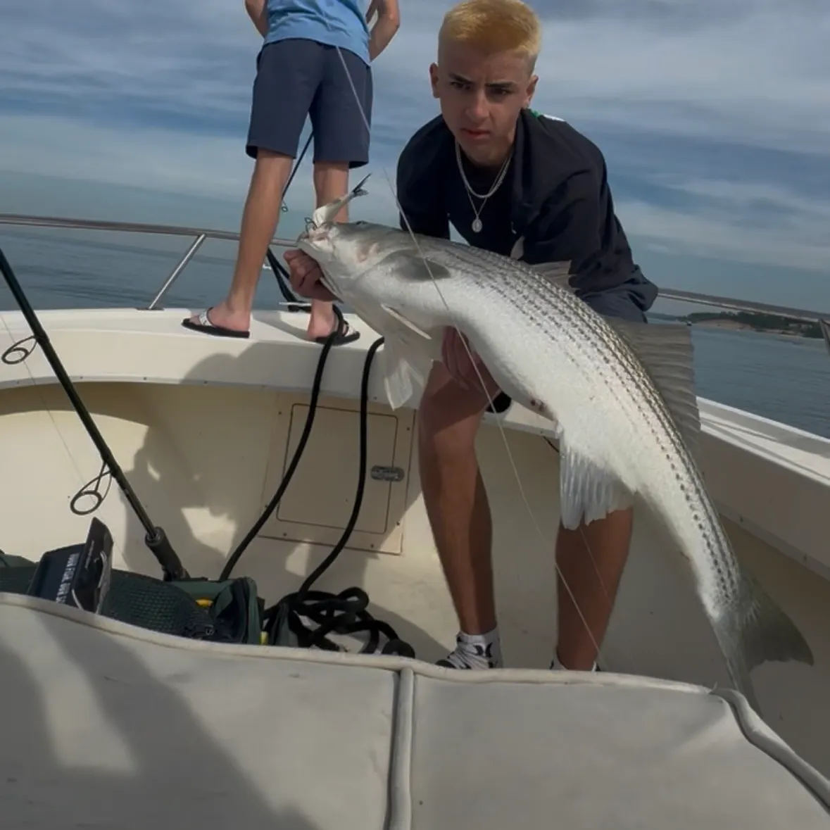 Striped bass caught on Fishbrain