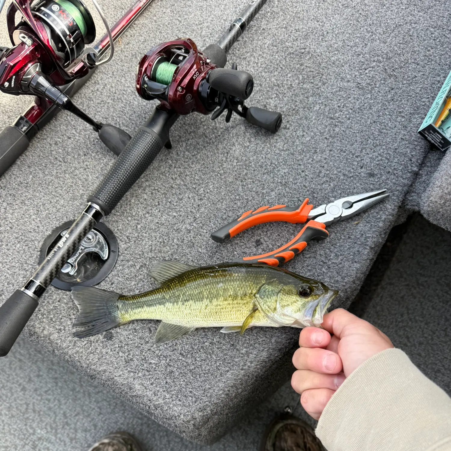 catch