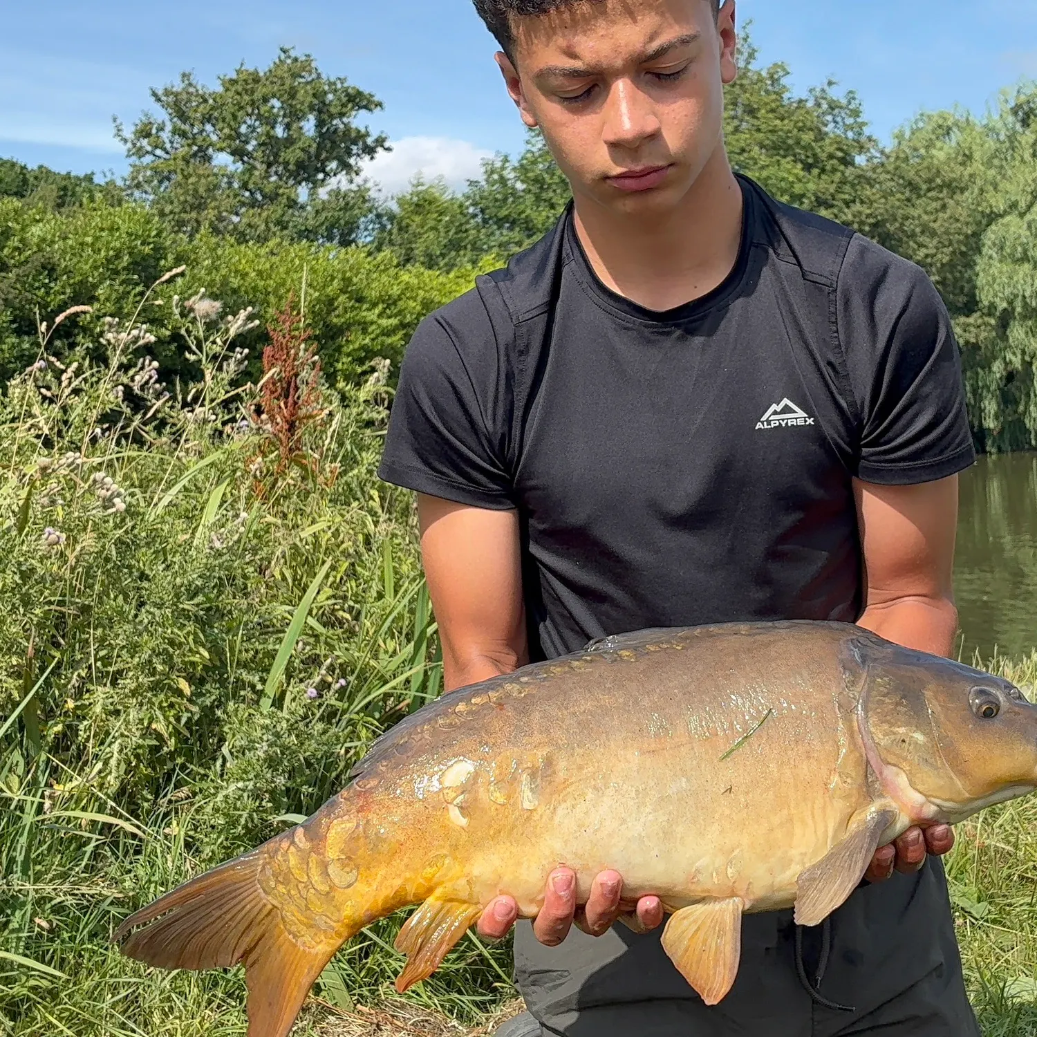 Leather carp caught on Fishbrain