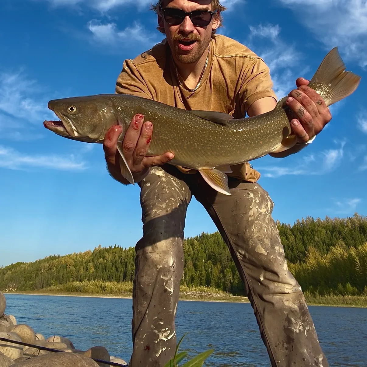 Bull trout caught on Fishbrain