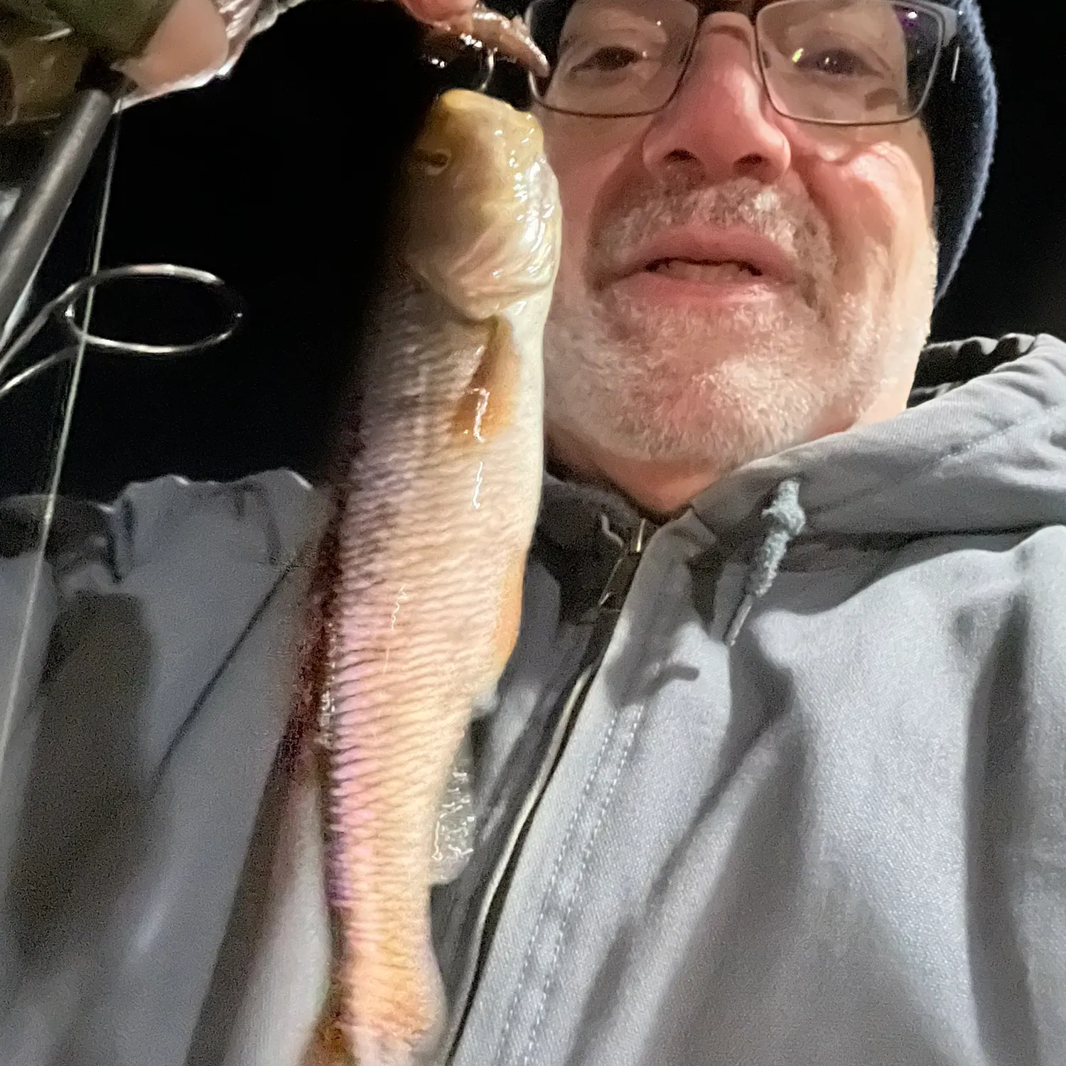 The most recent Creek chub catches on Fishbrain