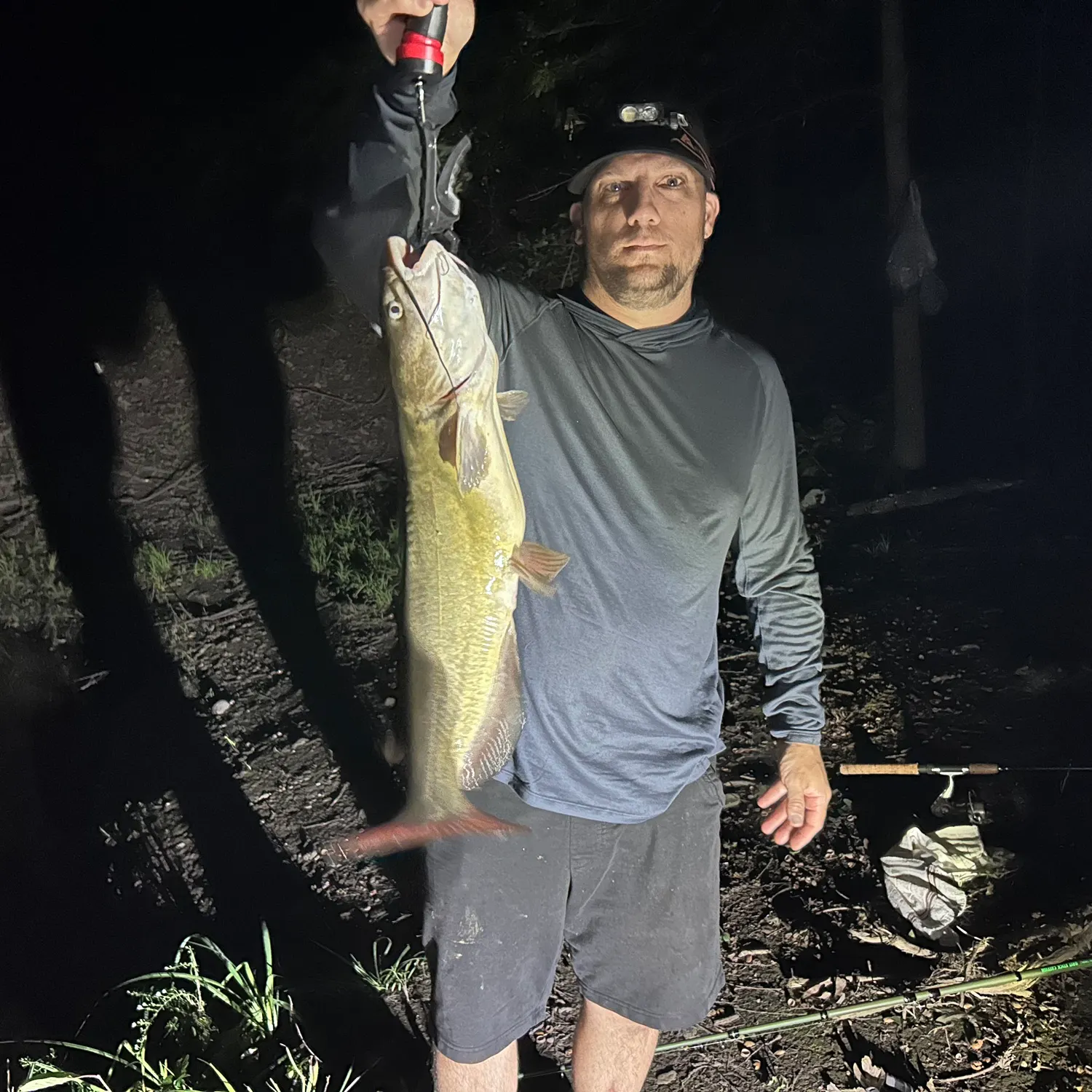 Channel catfish caught on Fishbrain