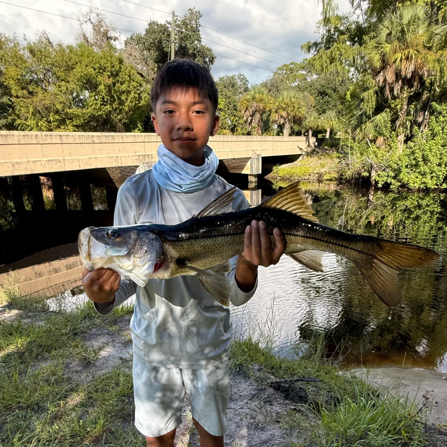 Common snook caught on Fishbrain
