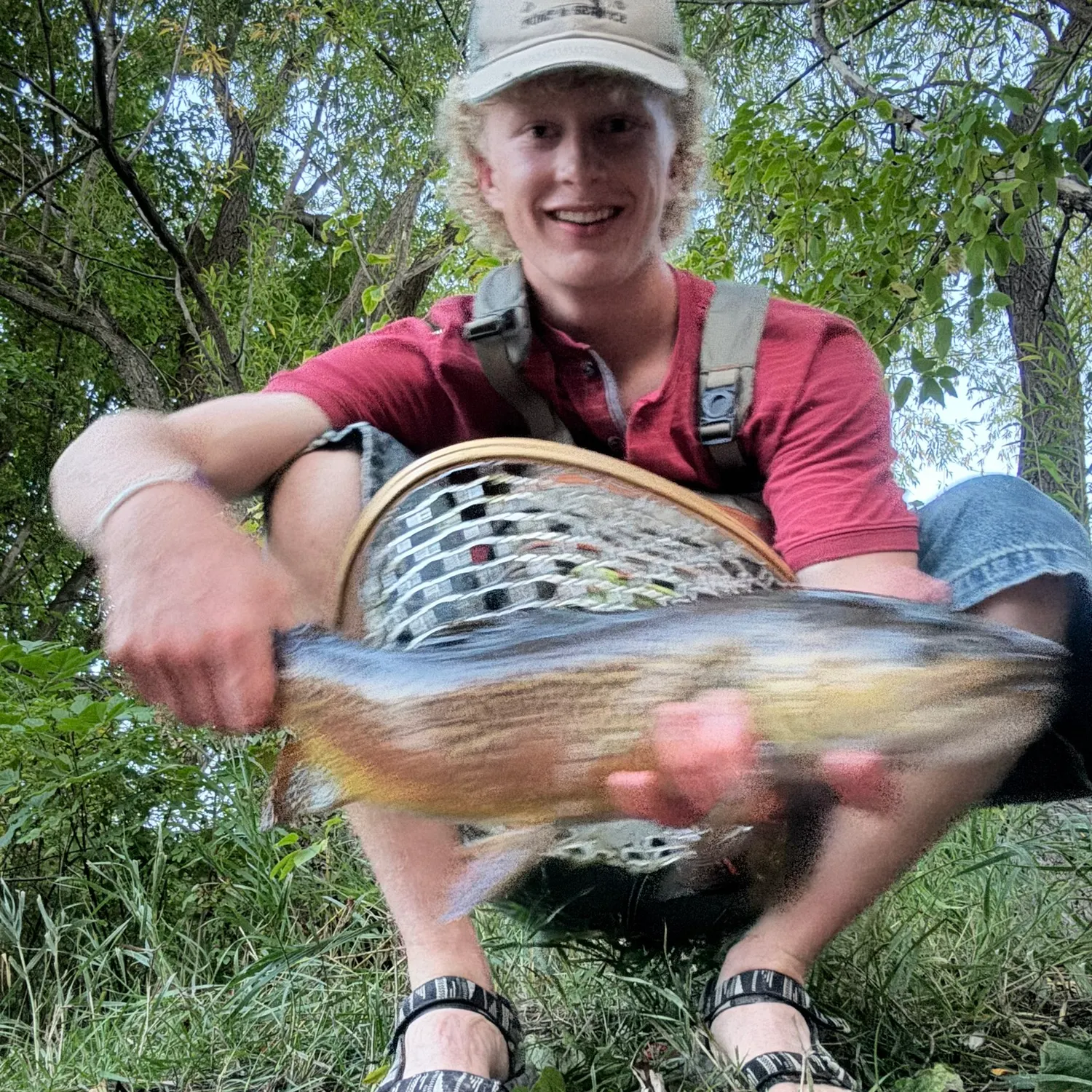Tiger trout caught on Fishbrain
