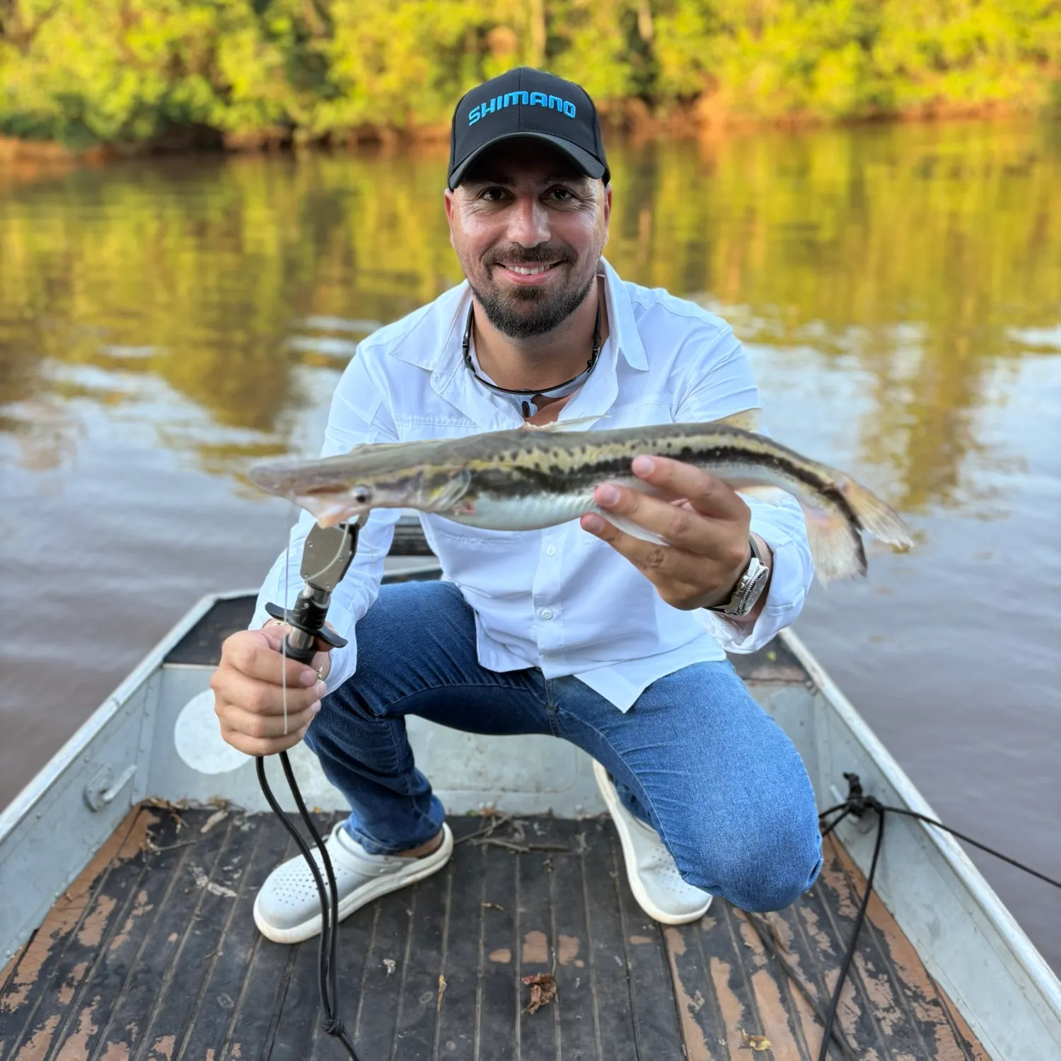 The most recent Duckbill catfish catches on Fishbrain