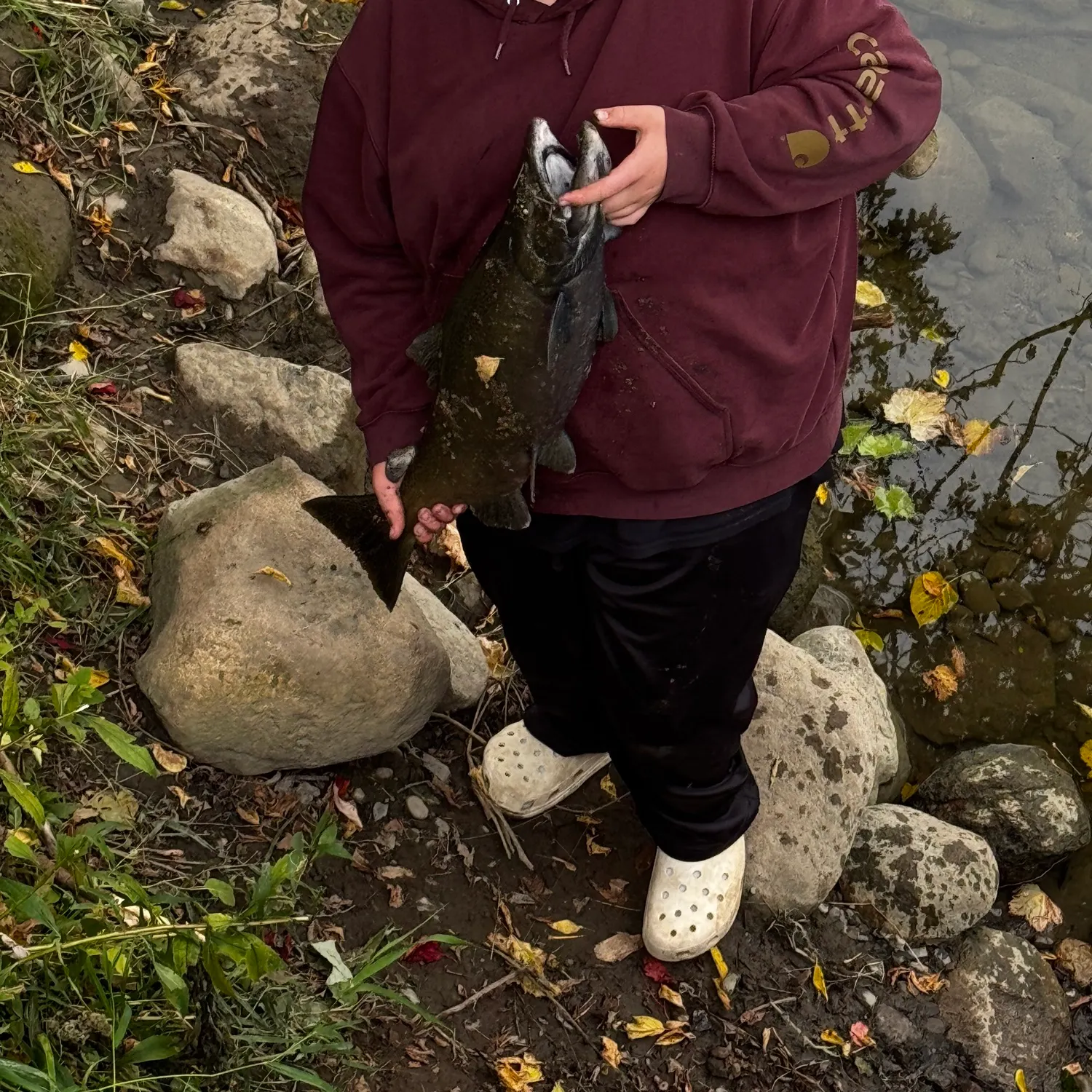 Chinook salmon caught on Fishbrain