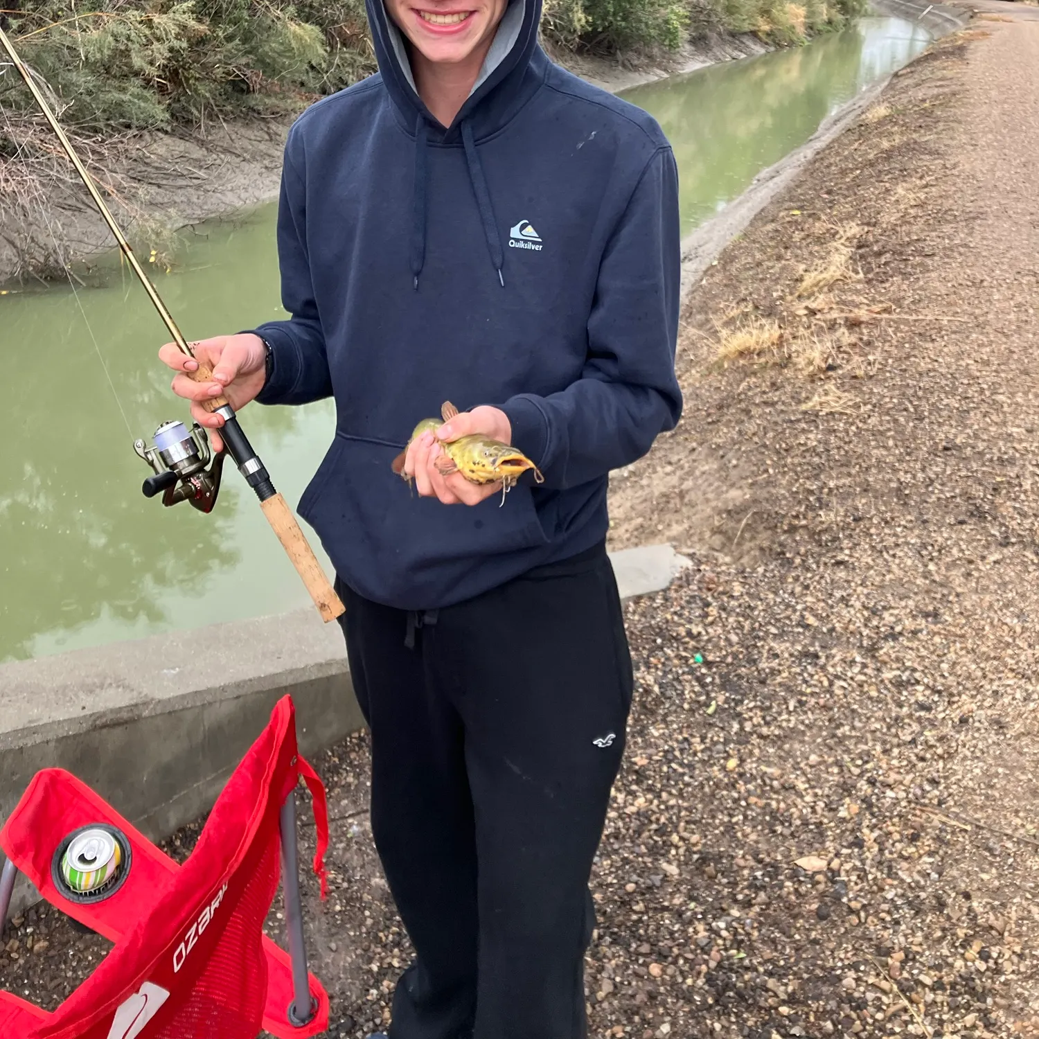 Yellow bullhead caught on Fishbrain