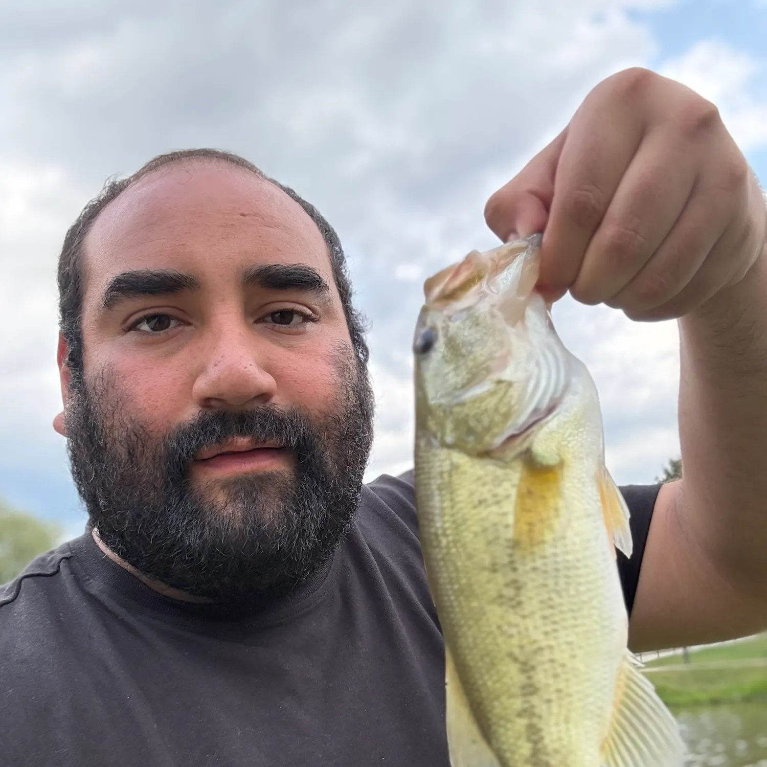 Spotted bass caught on Fishbrain