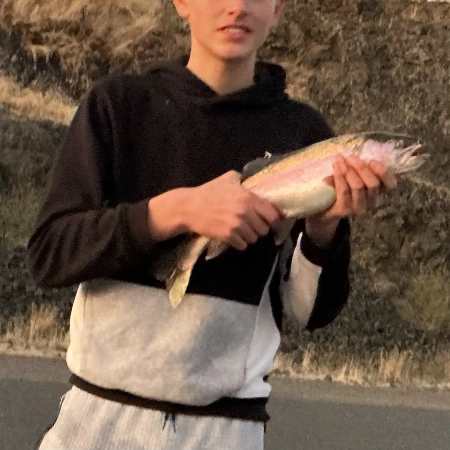 Rainbow trout caught on Fishbrain