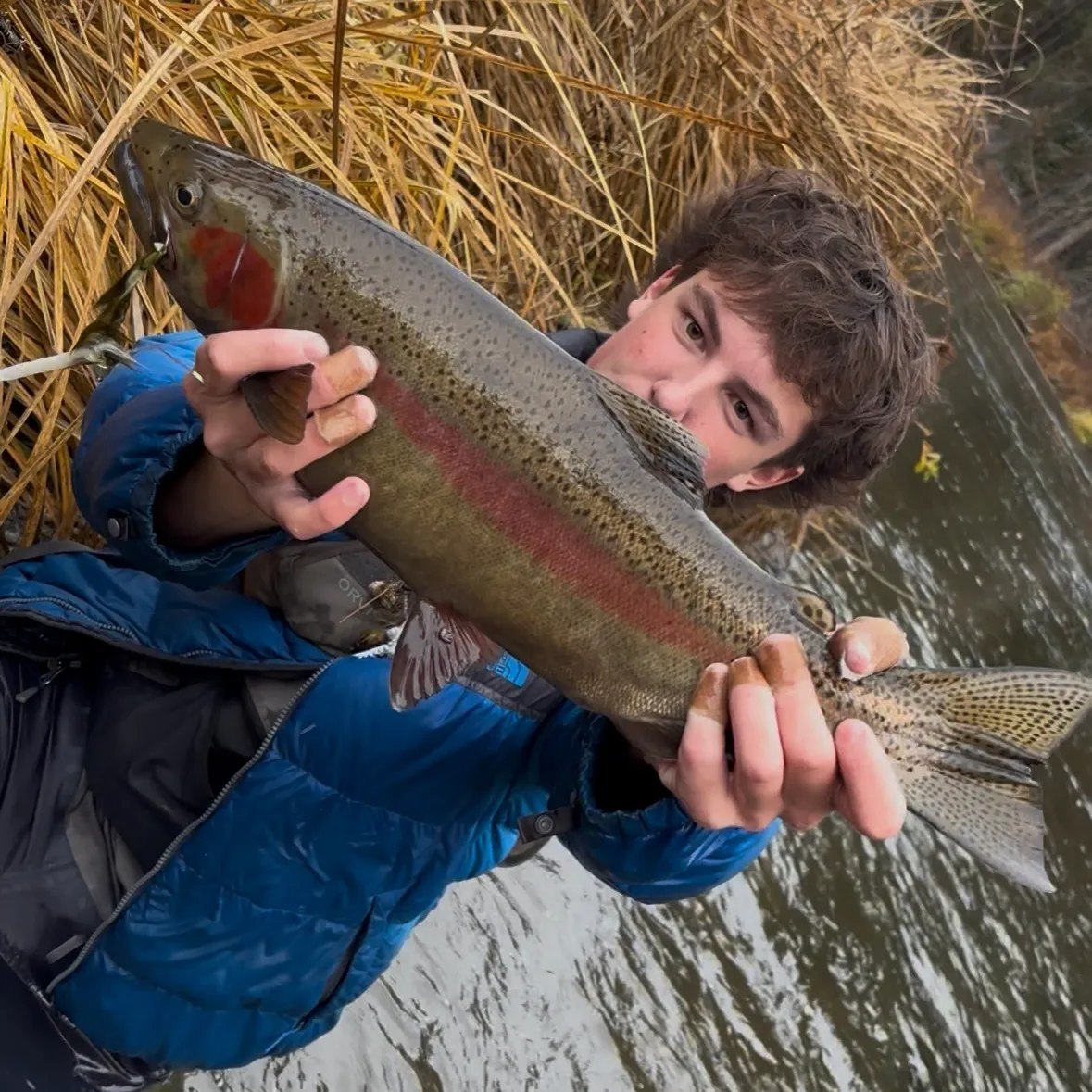 The most recent Great basin redband trout catches on Fishbrain