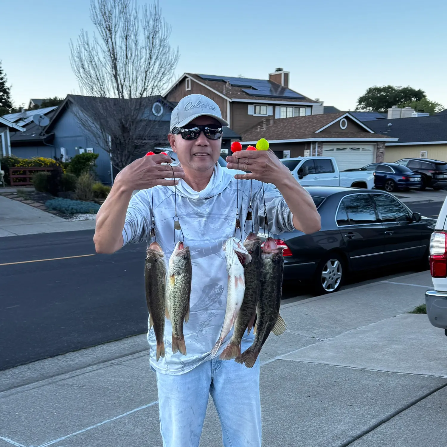 recently logged catches