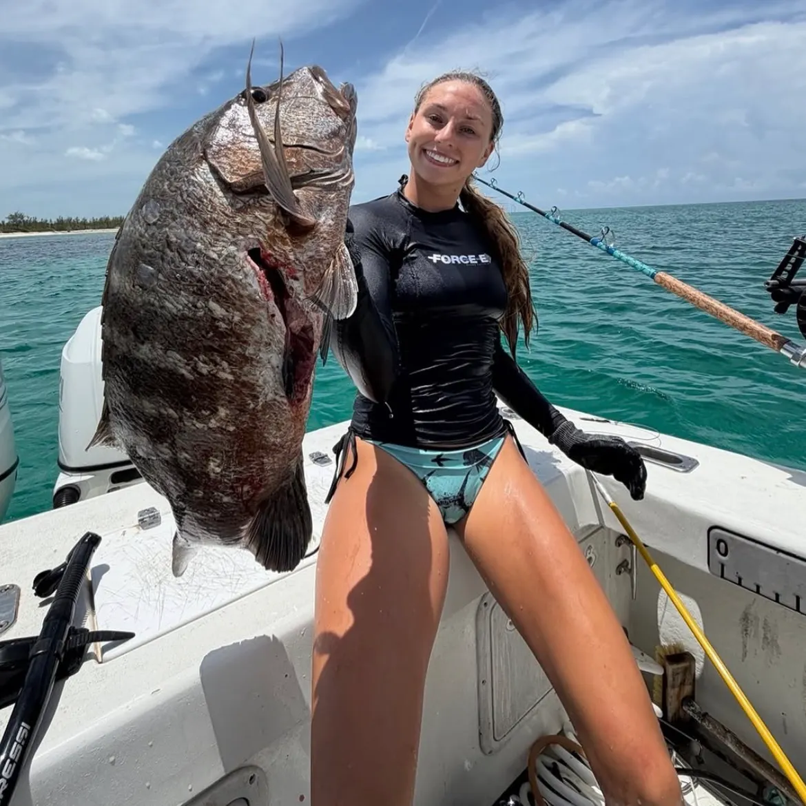 Black drum caught on Fishbrain