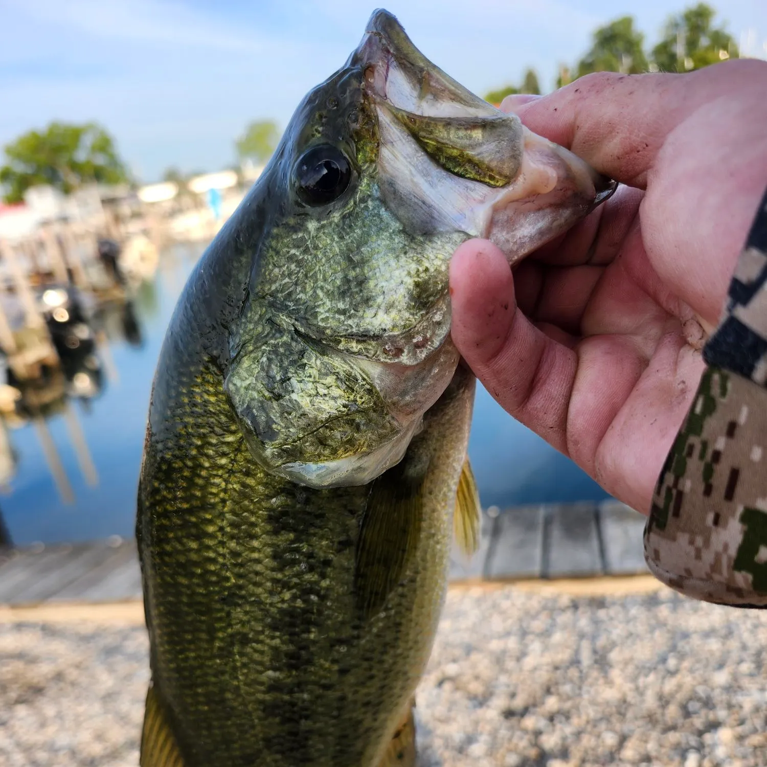 catch