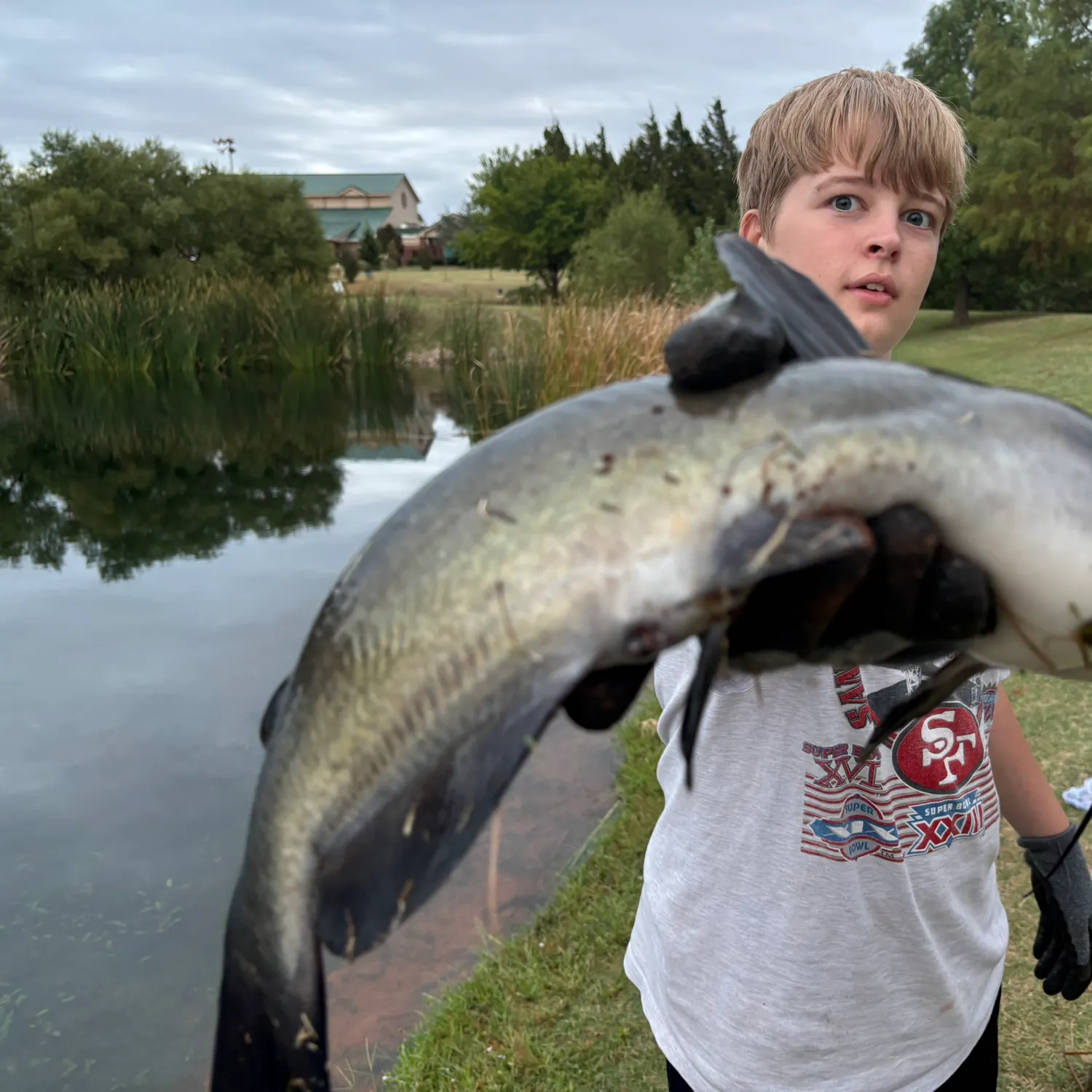 Channel catfish caught on Fishbrain