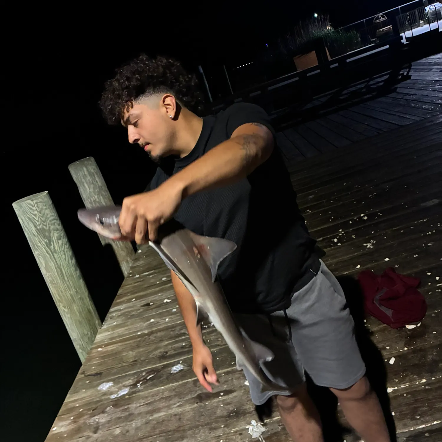 The most recent Starspotted smooth-hound catches on Fishbrain