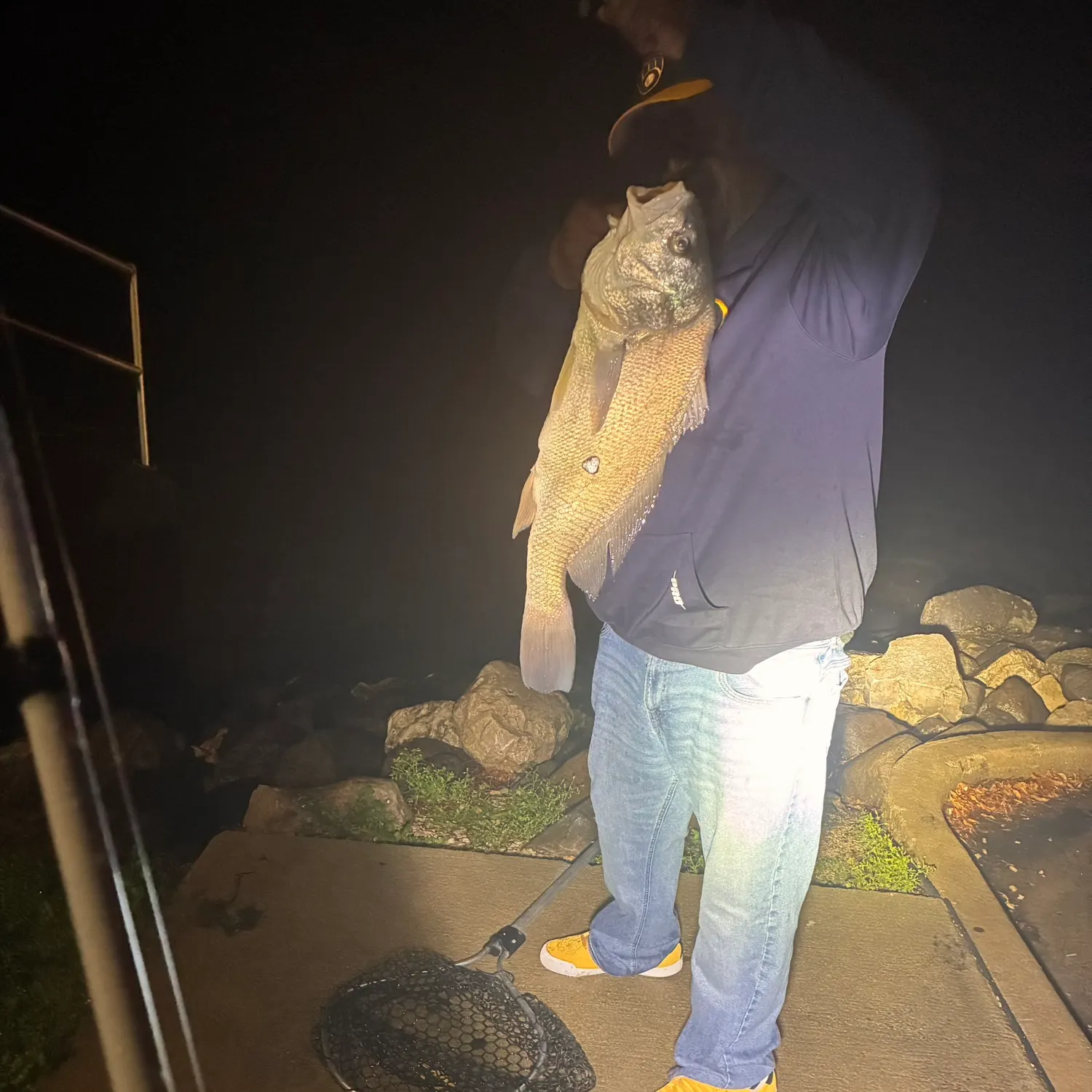 Freshwater drum caught on Fishbrain