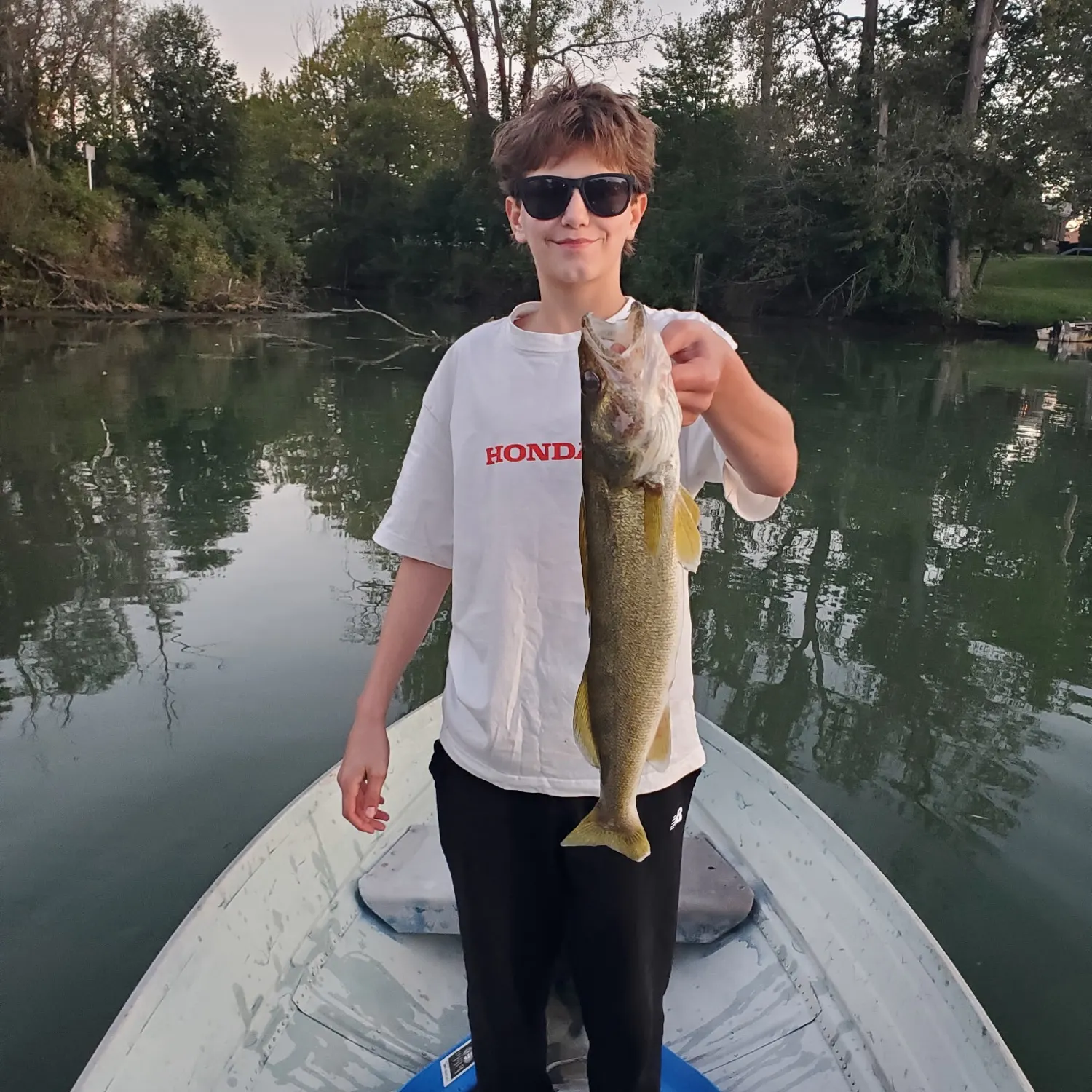 Walleye caught on Fishbrain