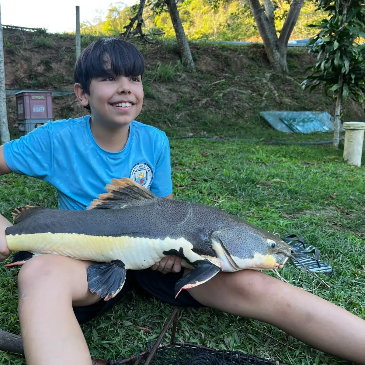 The most recent Redtail catfish catches on Fishbrain