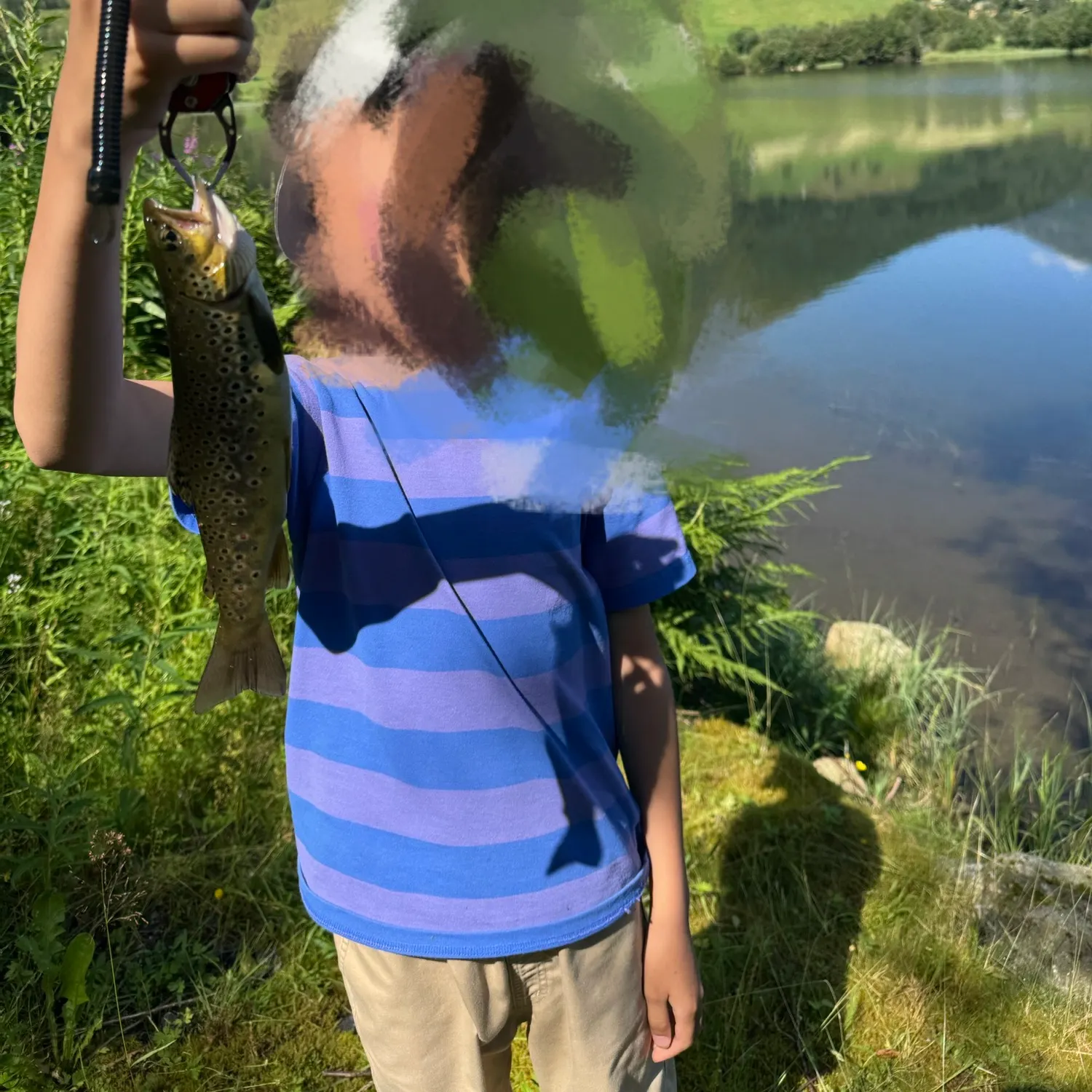 The most recent Brown trout catches on Fishbrain