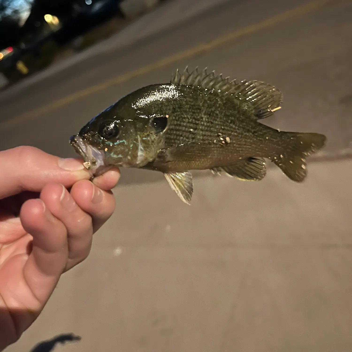 catch