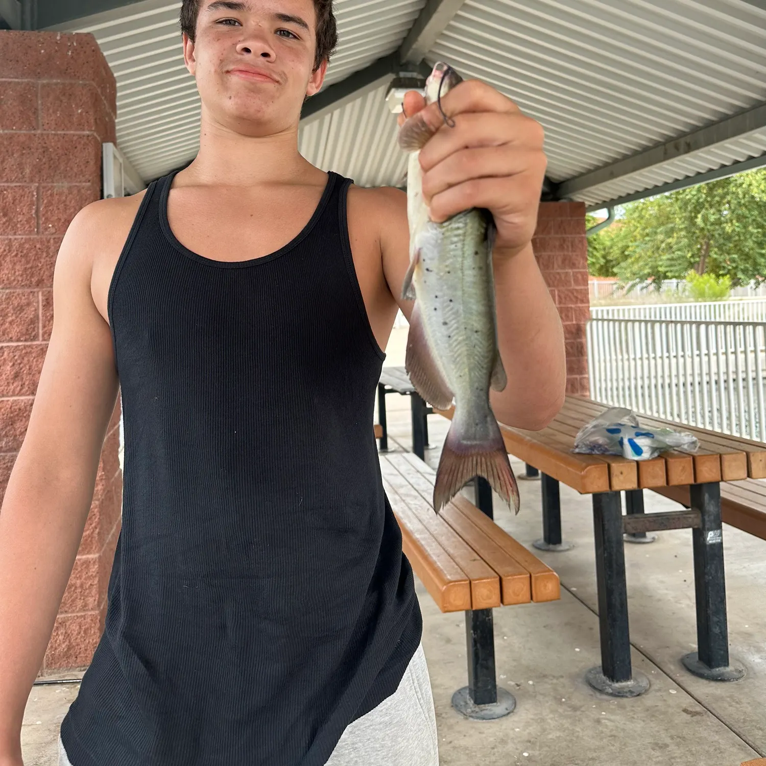 Channel catfish caught on Fishbrain