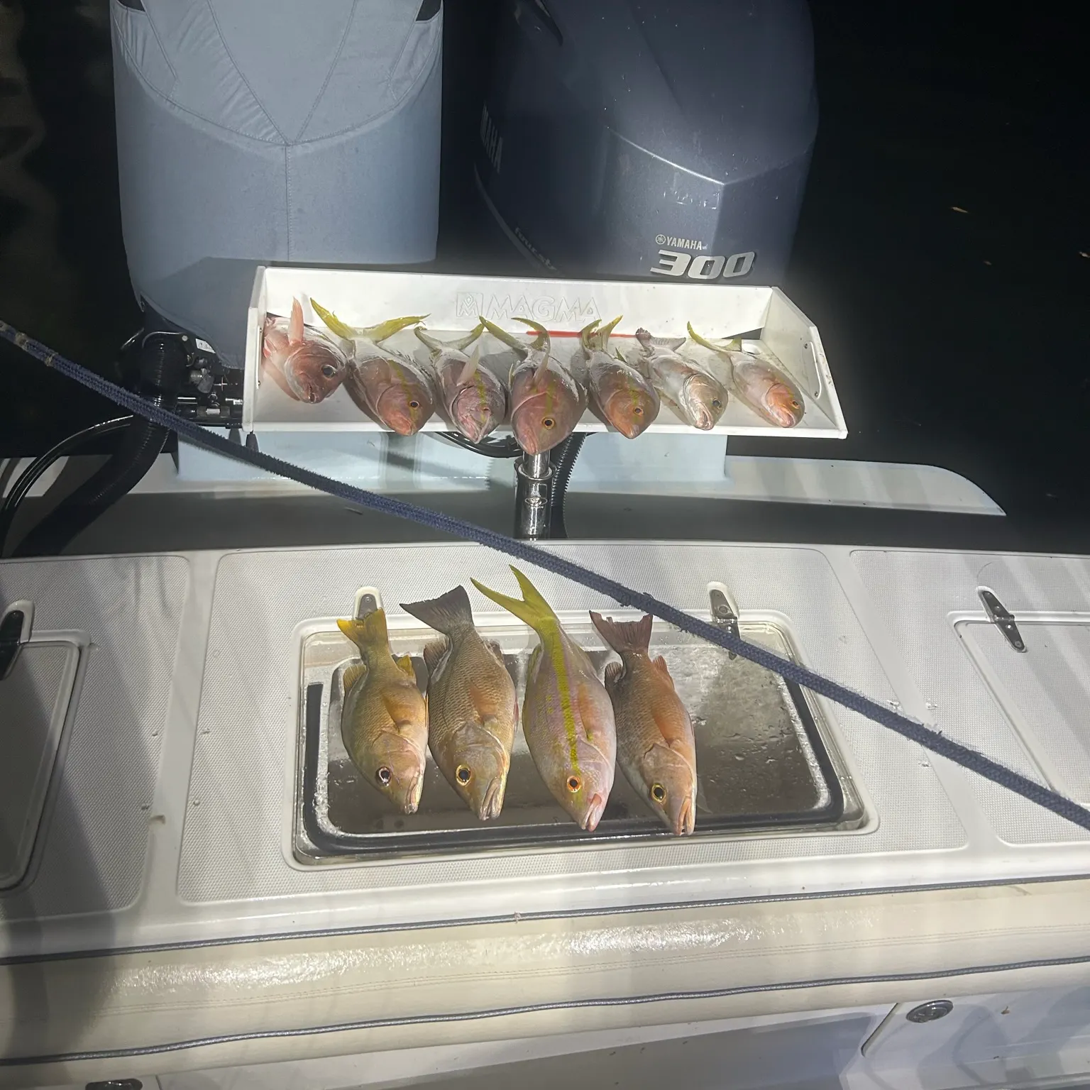 recently logged catches