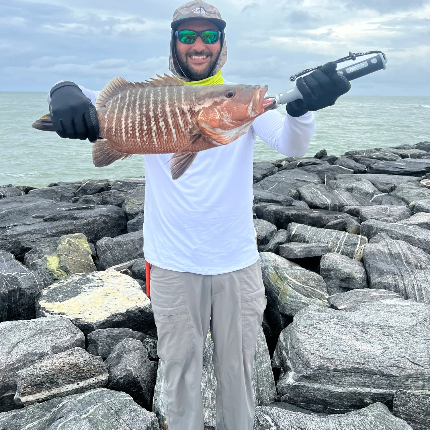 The most recent Mangrove red snapper catches on Fishbrain