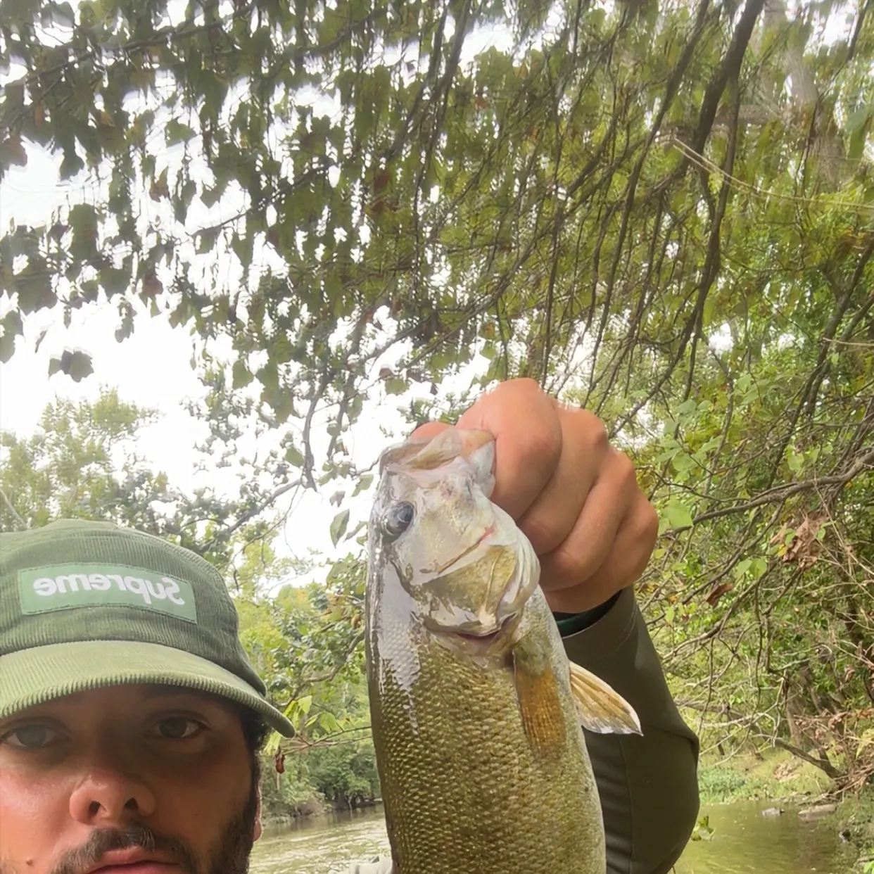 Smallmouth bass caught on Fishbrain