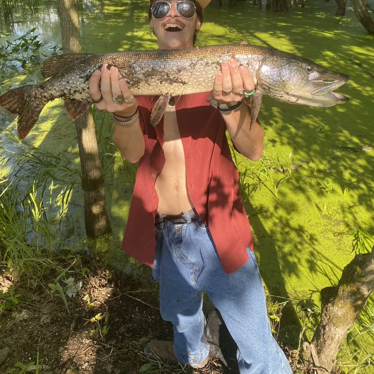 Northern pike caught on Fishbrain