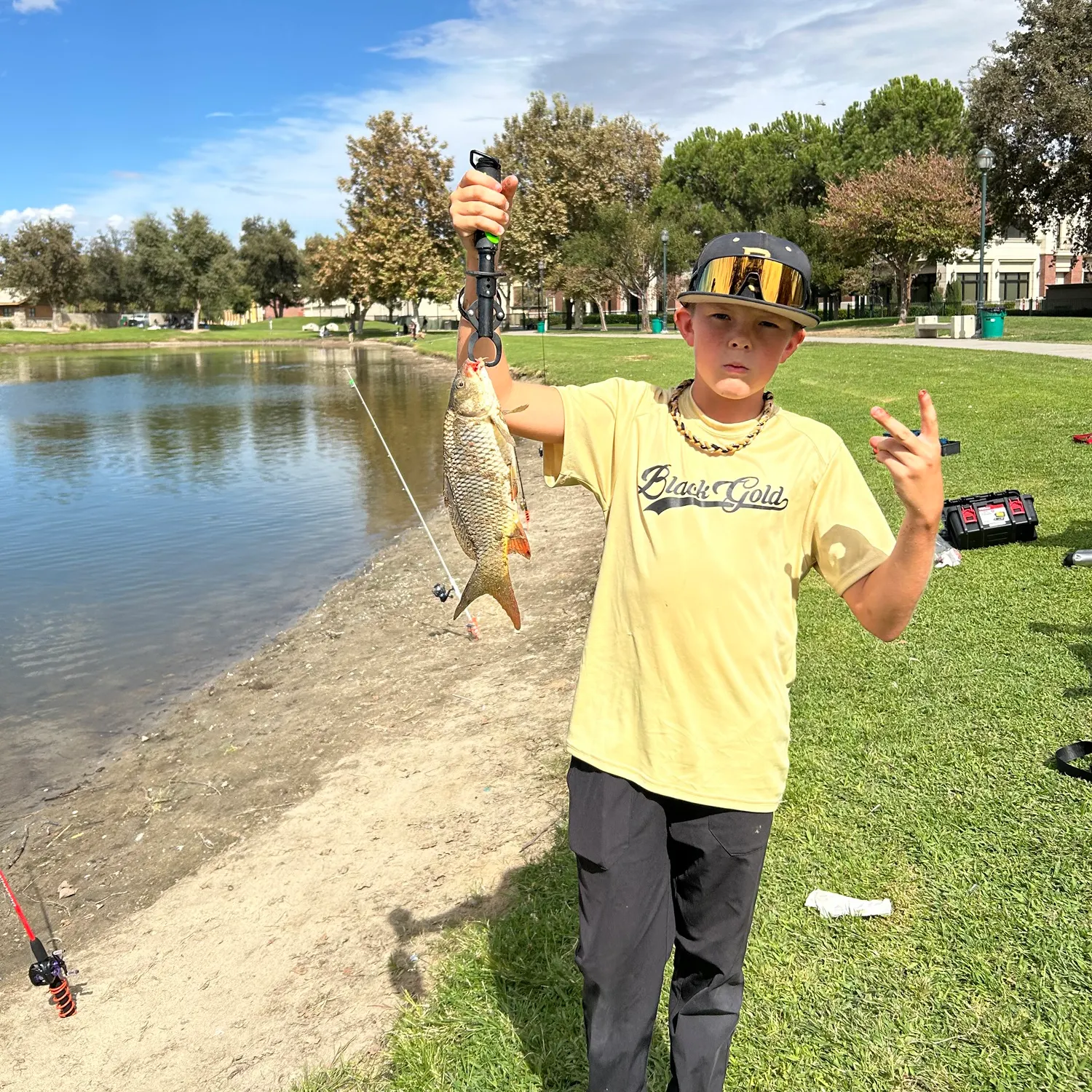 Common carp caught on Fishbrain