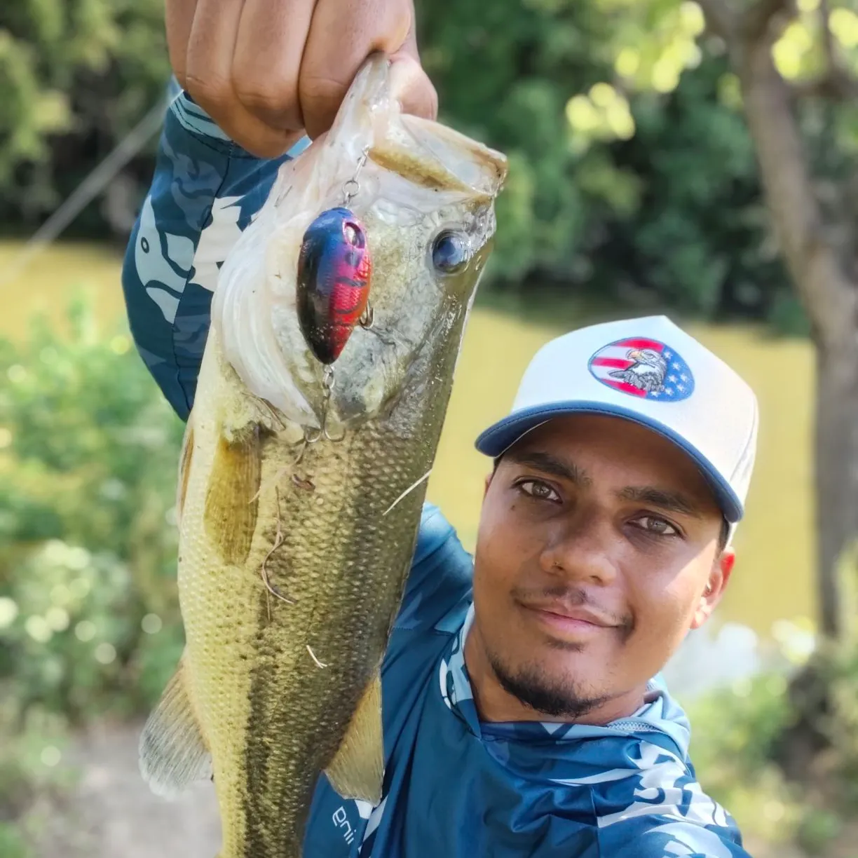 Largemouth bass caught on Fishbrain