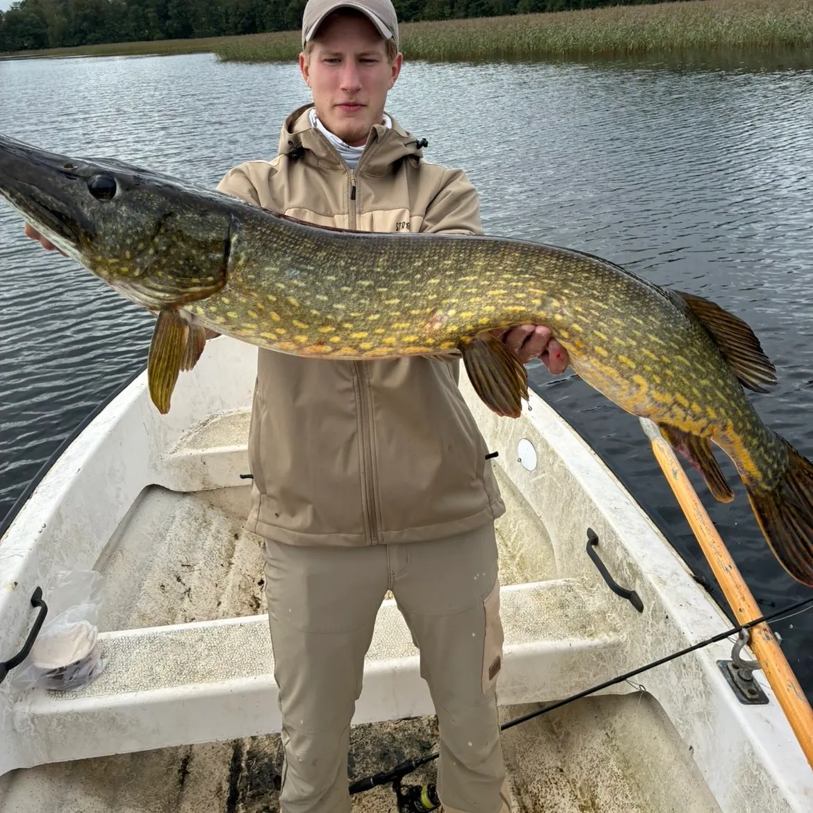Northern pike caught on Fishbrain
