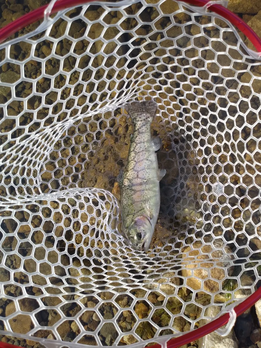 Post image from kcads4x4