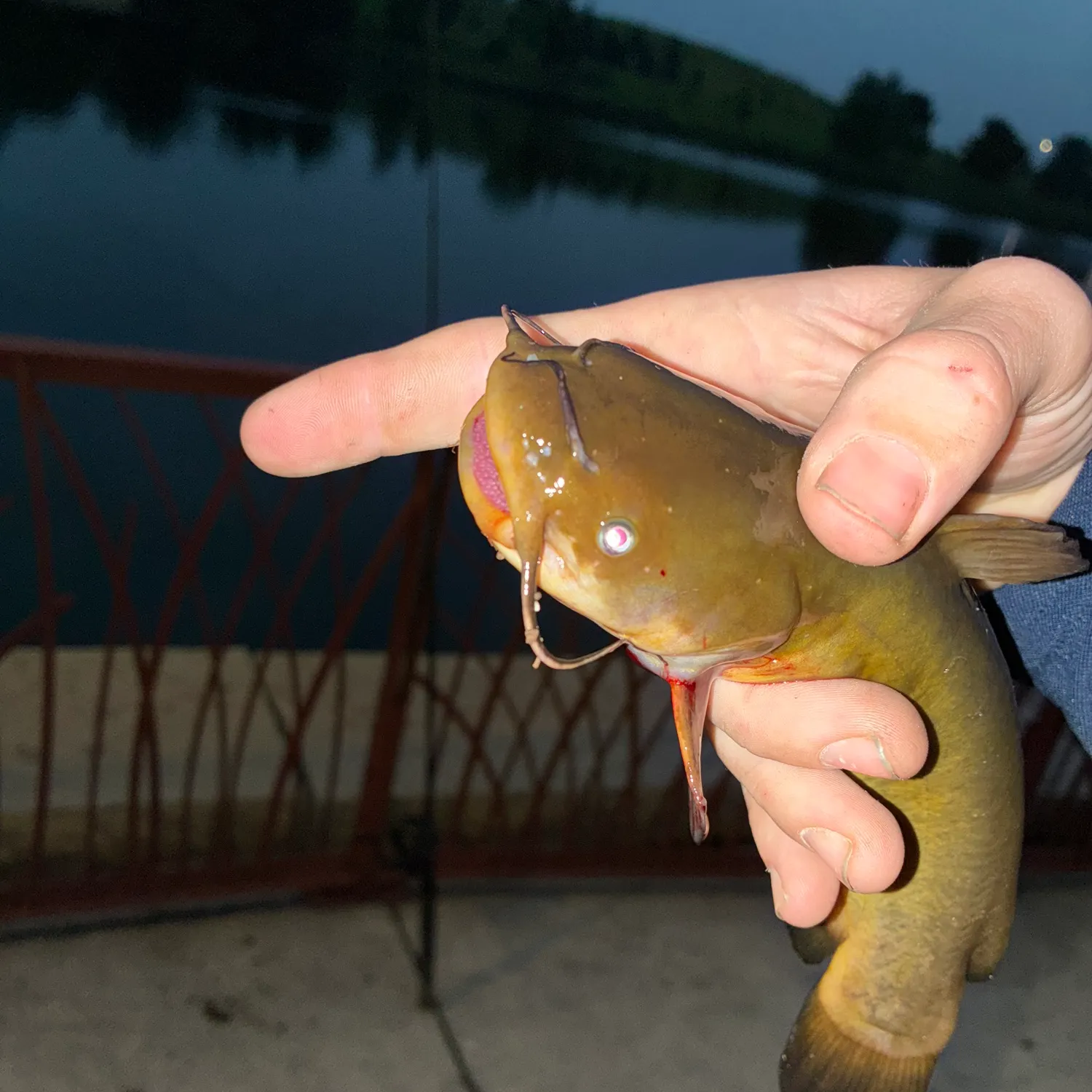 catch