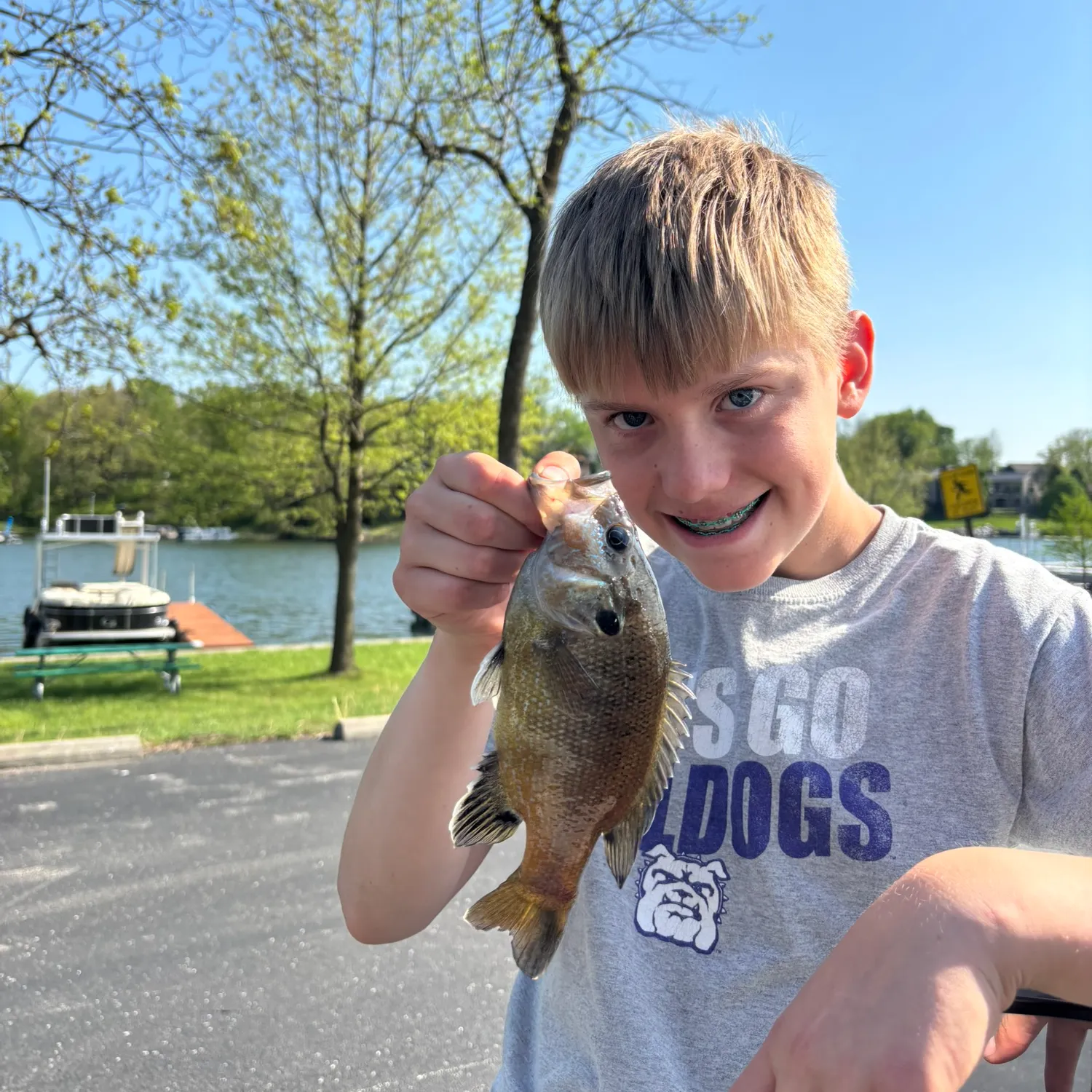 The most recent Green sunfish catches on Fishbrain