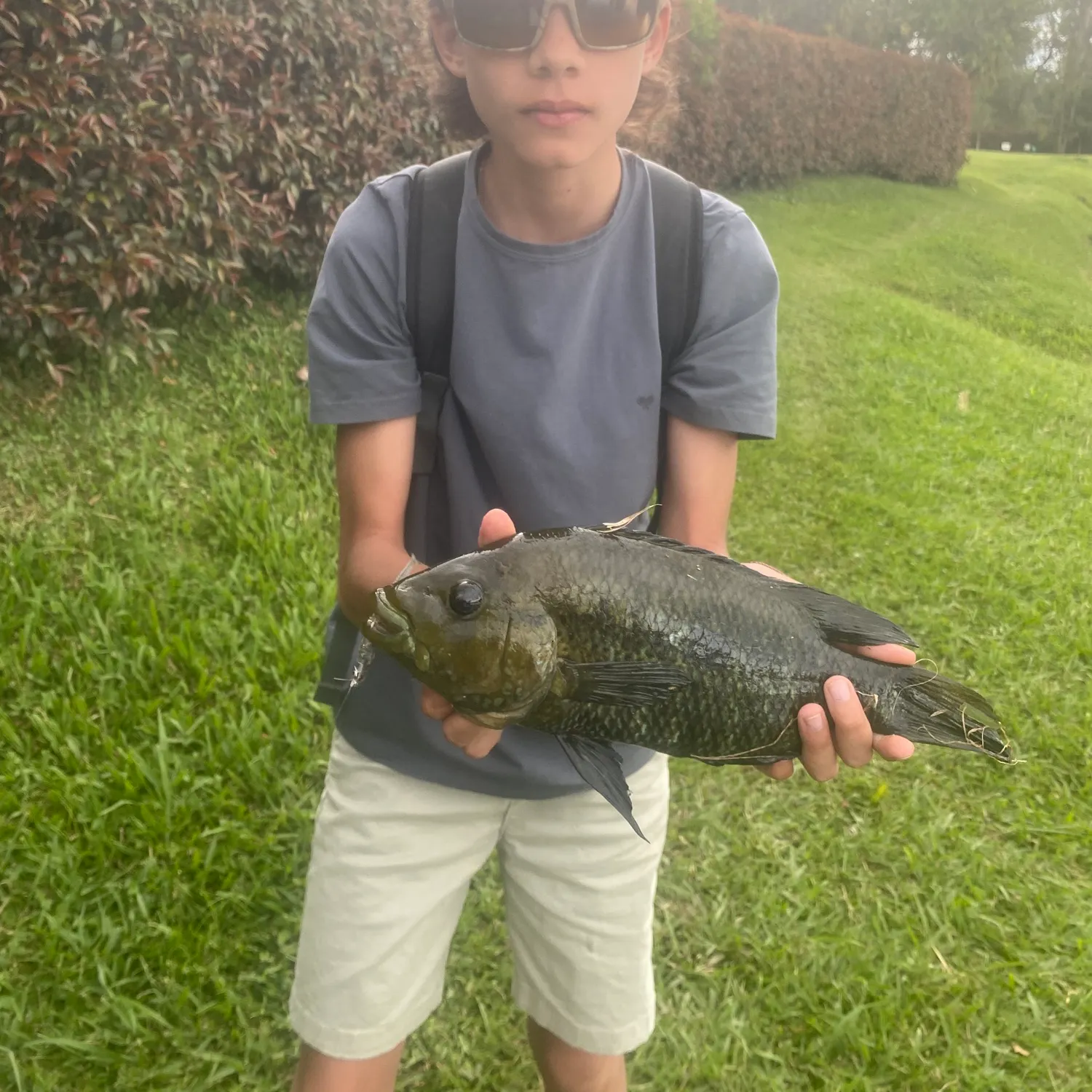 The most recent Three spotted tilapia catches on Fishbrain