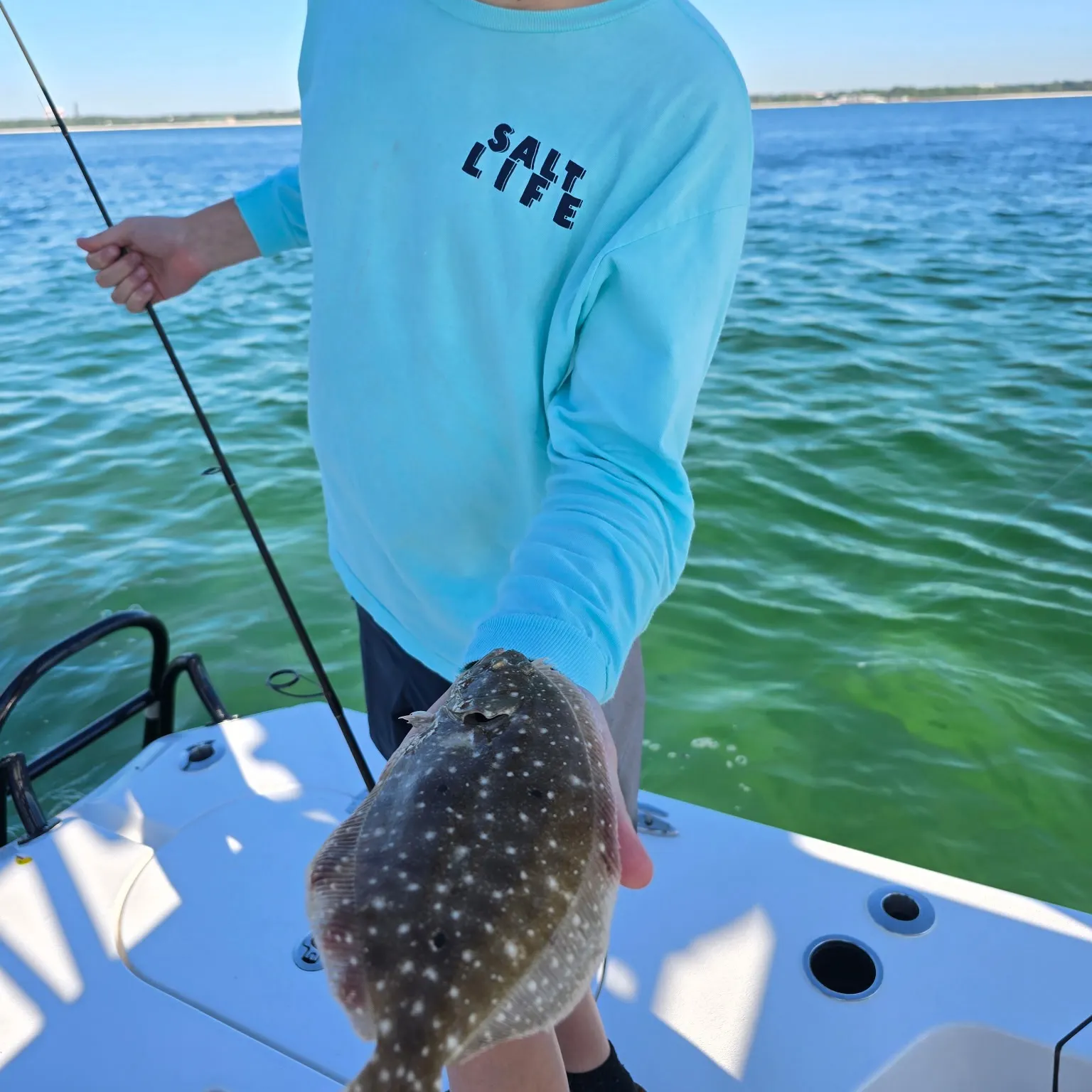 The most recent Gulf flounder catches on Fishbrain