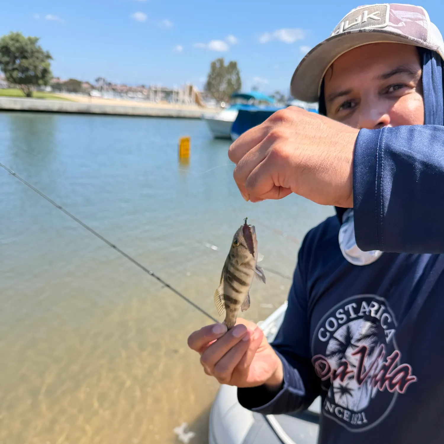 The most recent Barred sand bass catches on Fishbrain