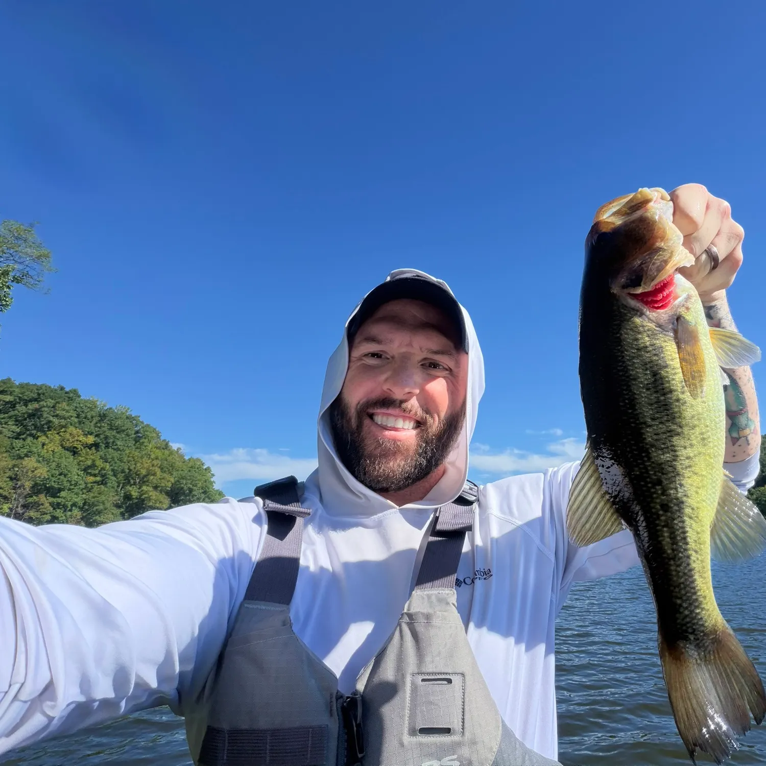 Largemouth bass caught on Fishbrain