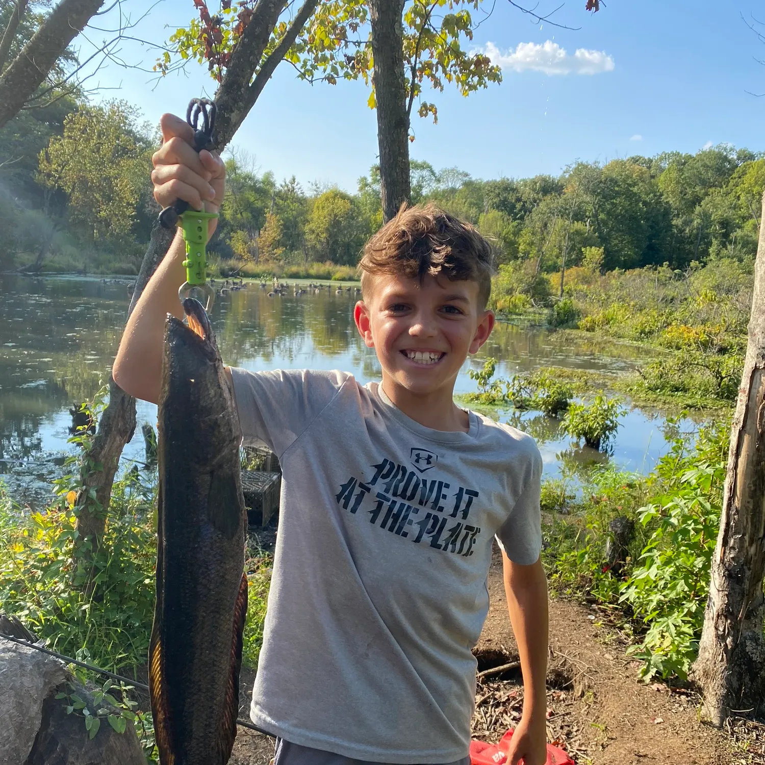 The most recent Northern snakehead catches on Fishbrain