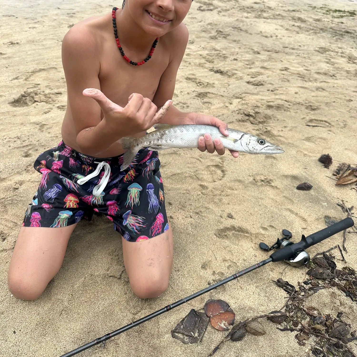 The most recent Great barracuda catches on Fishbrain
