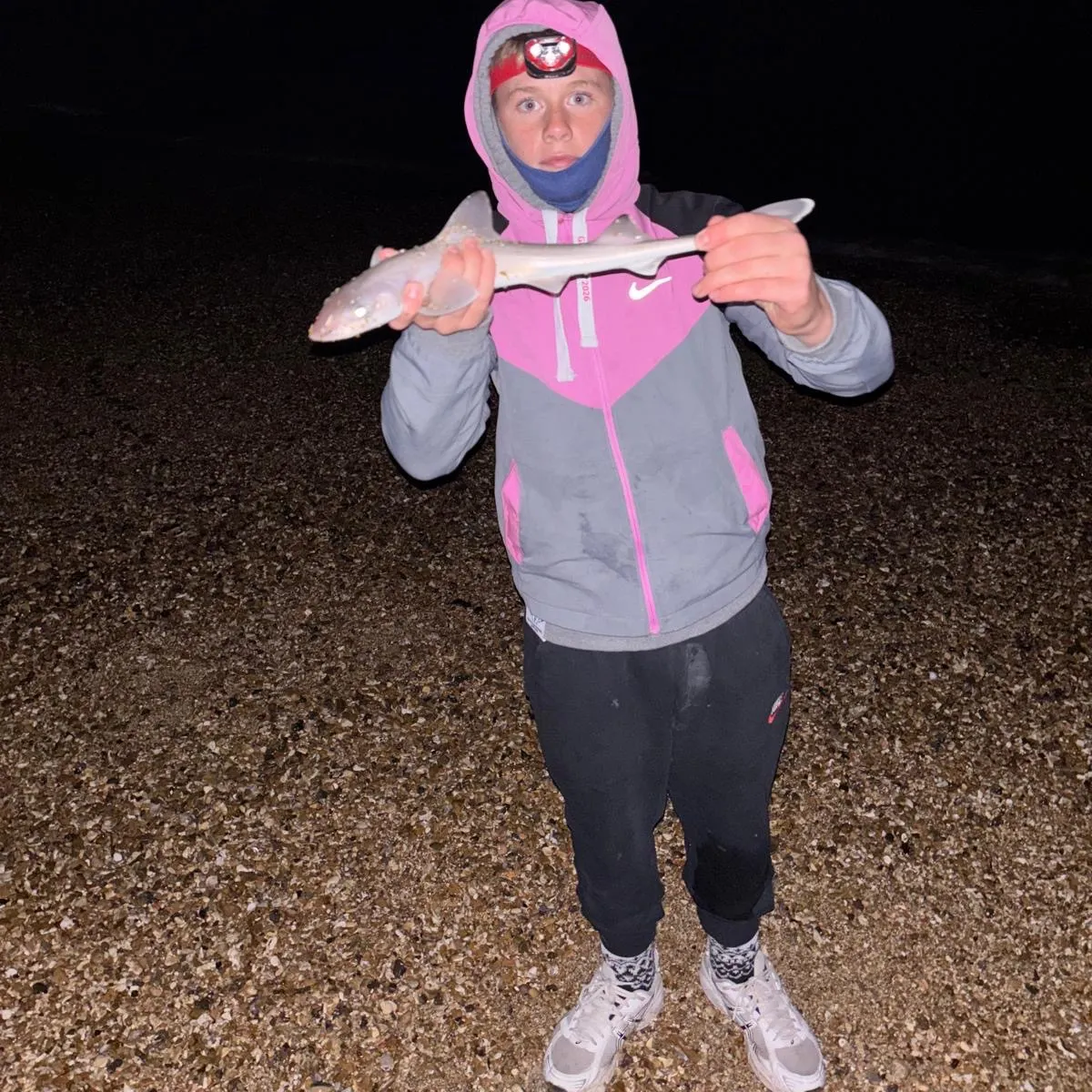 The most recent Common smooth-hound catches on Fishbrain