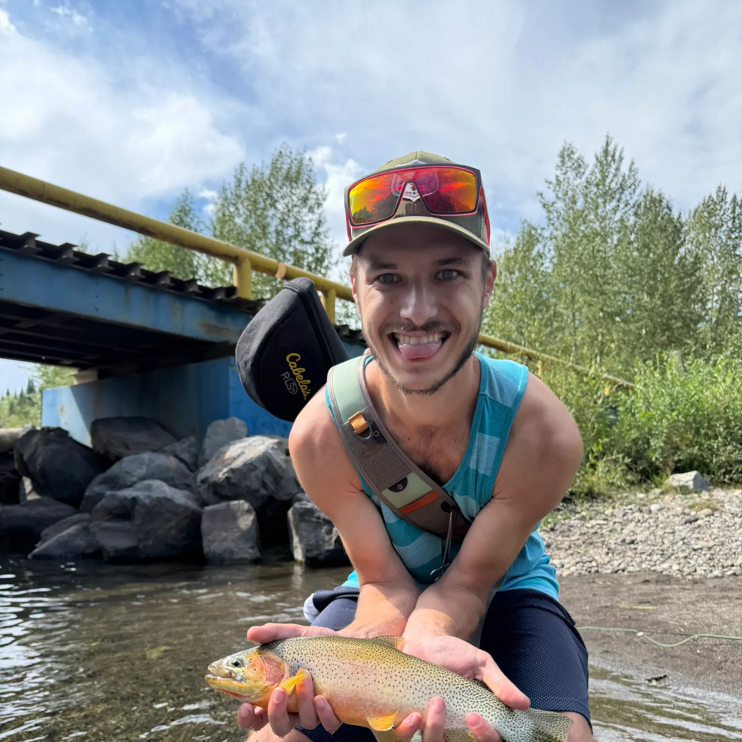 most liked catch image