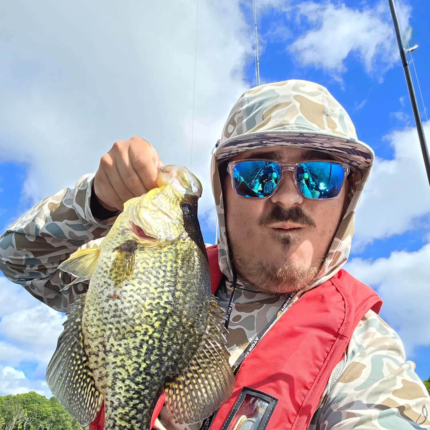 Black crappie caught on Fishbrain