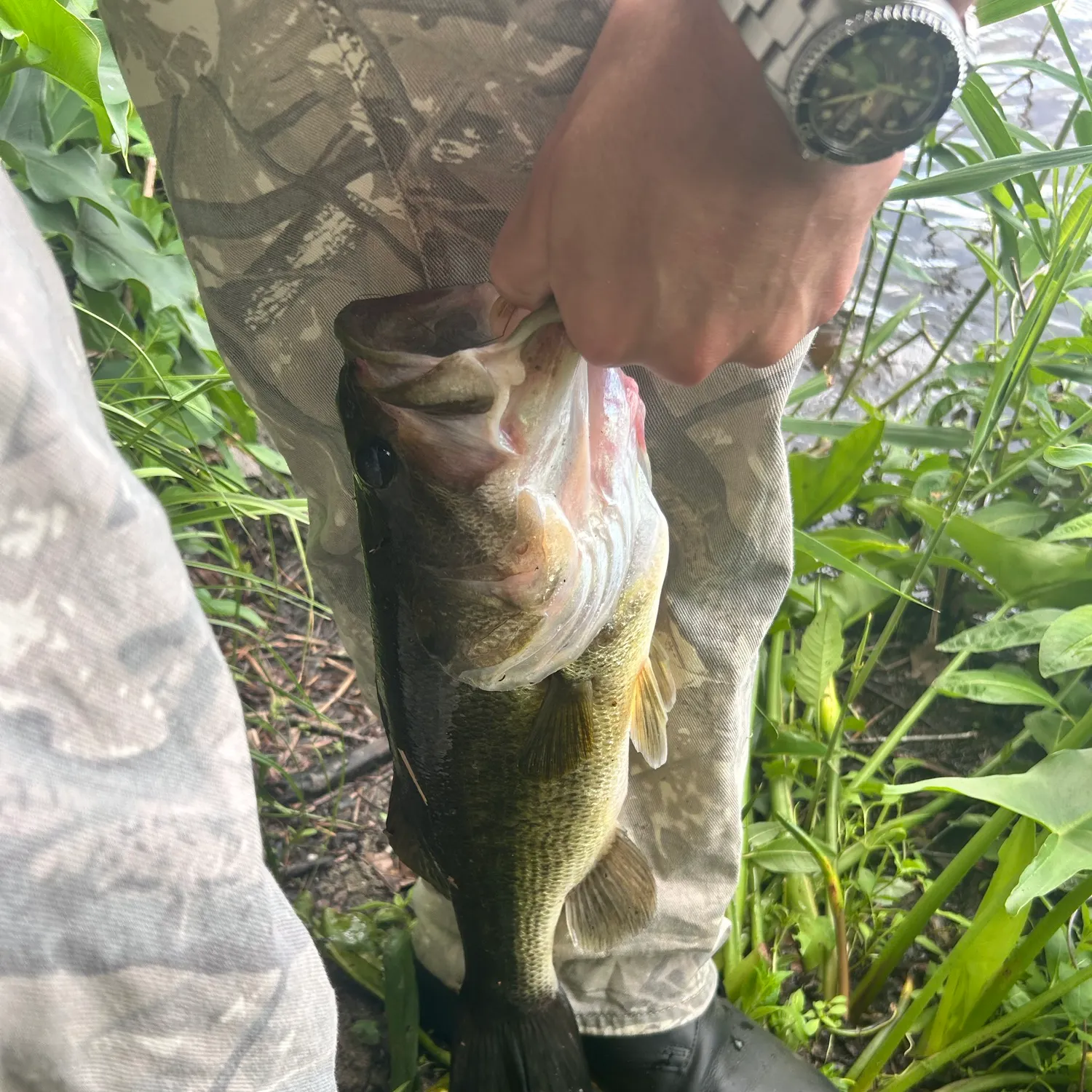 catch