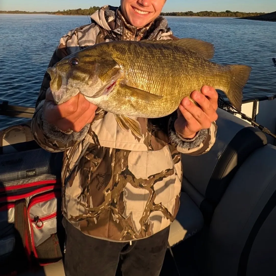 Smallmouth bass caught on Fishbrain